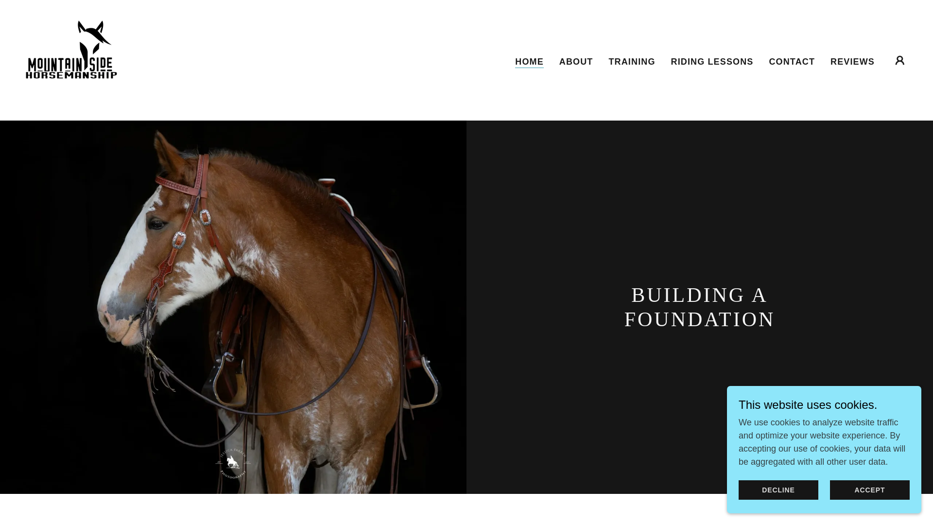 website screenshot of https://mountainsidehorsemanship.com/