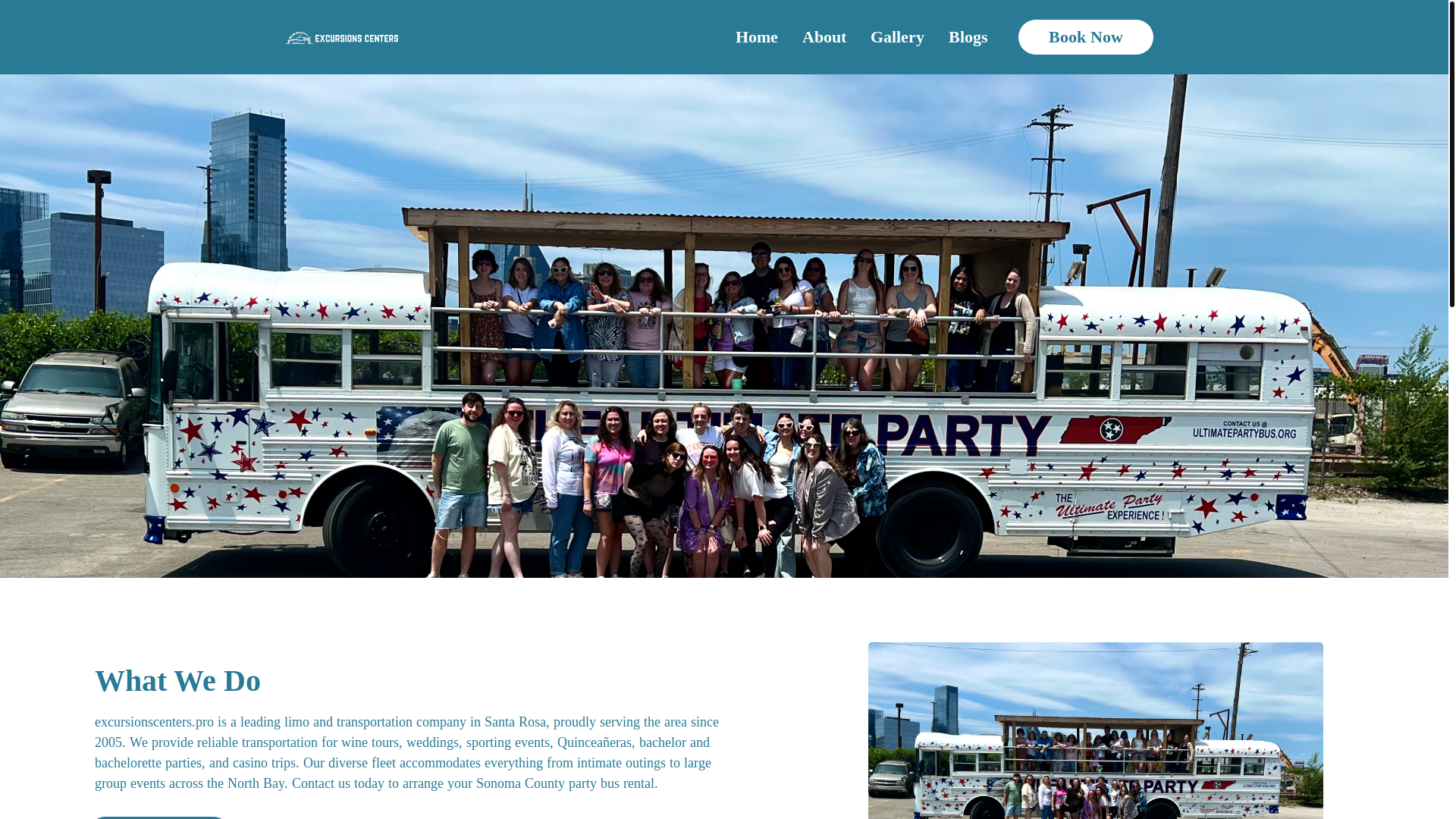 website screenshot of https://excursionscenters.pro/