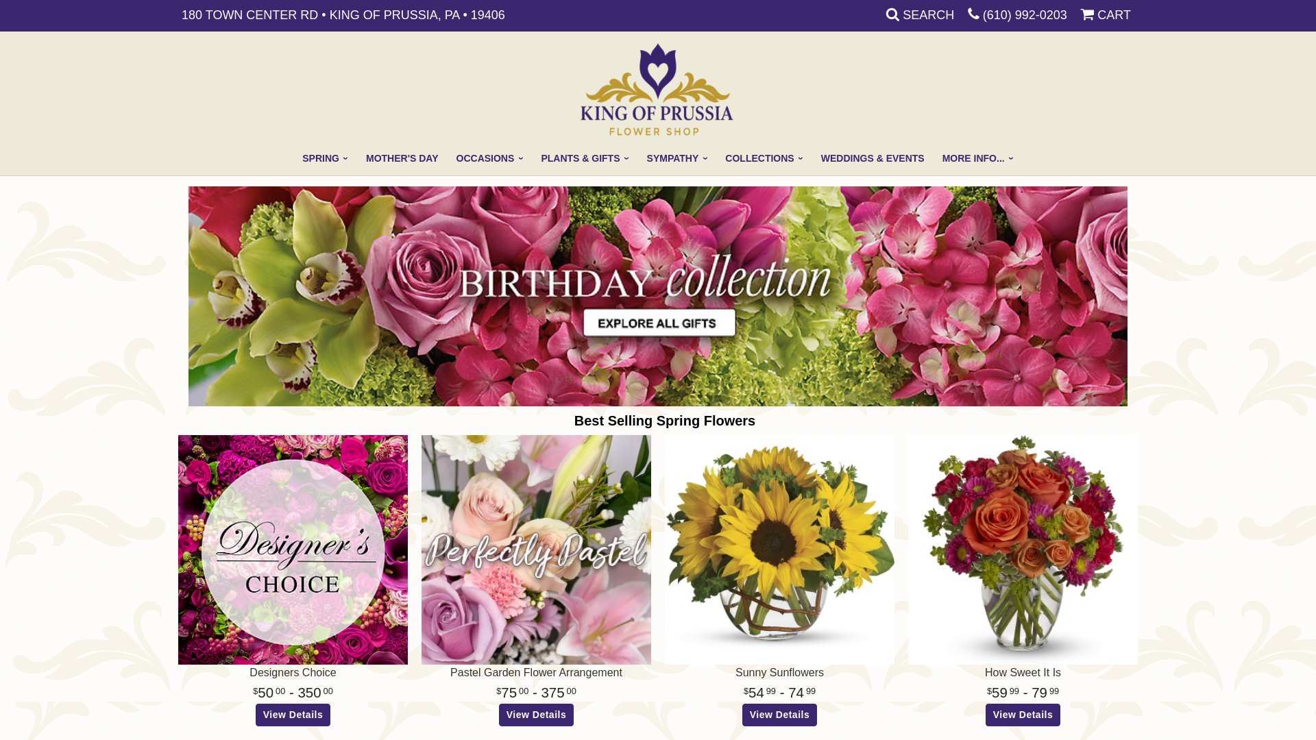 website screenshot of https://koppetals.com/