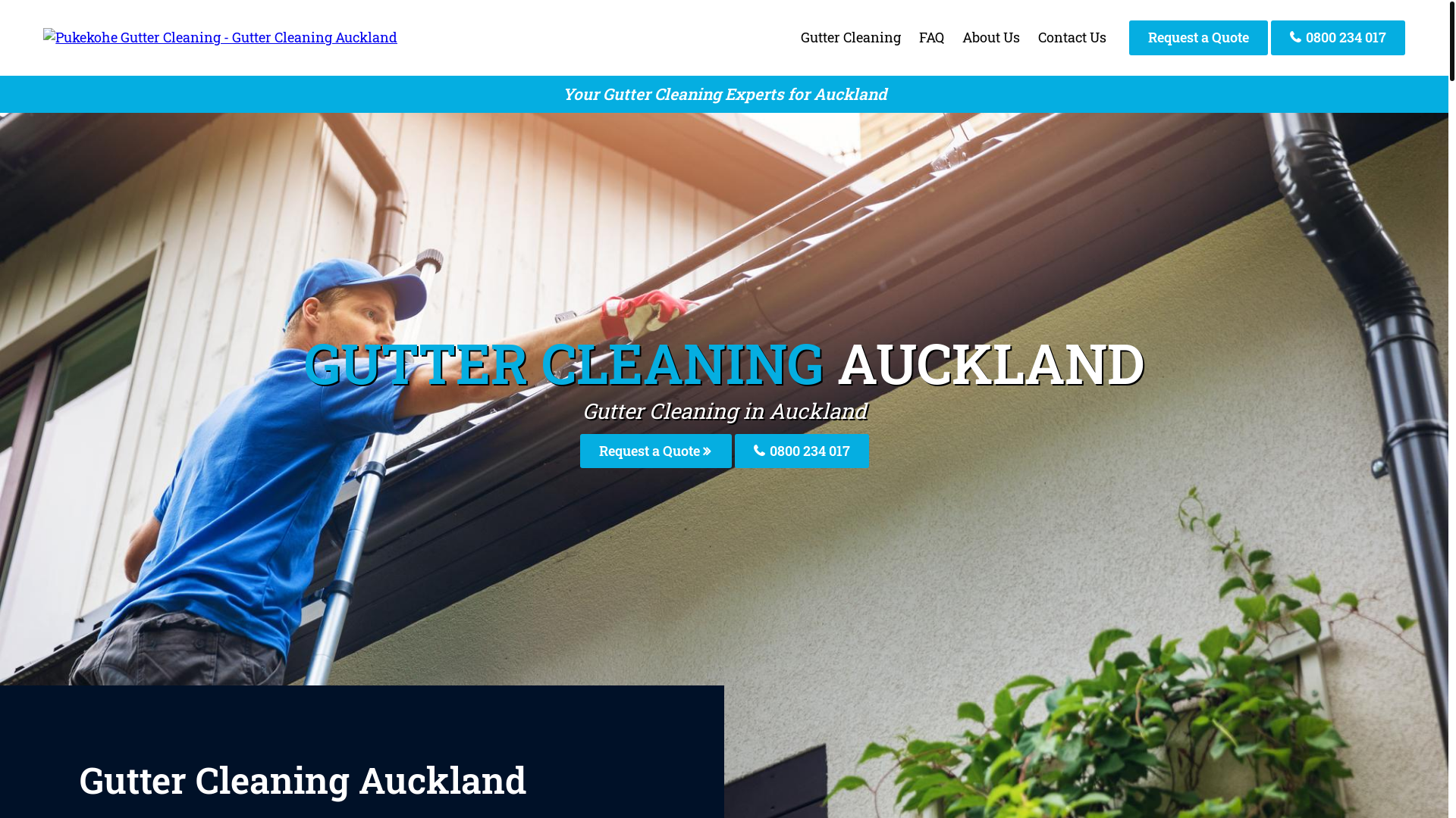 website screenshot of https://pukekoheguttercleaning-co-nz.pages.dev/