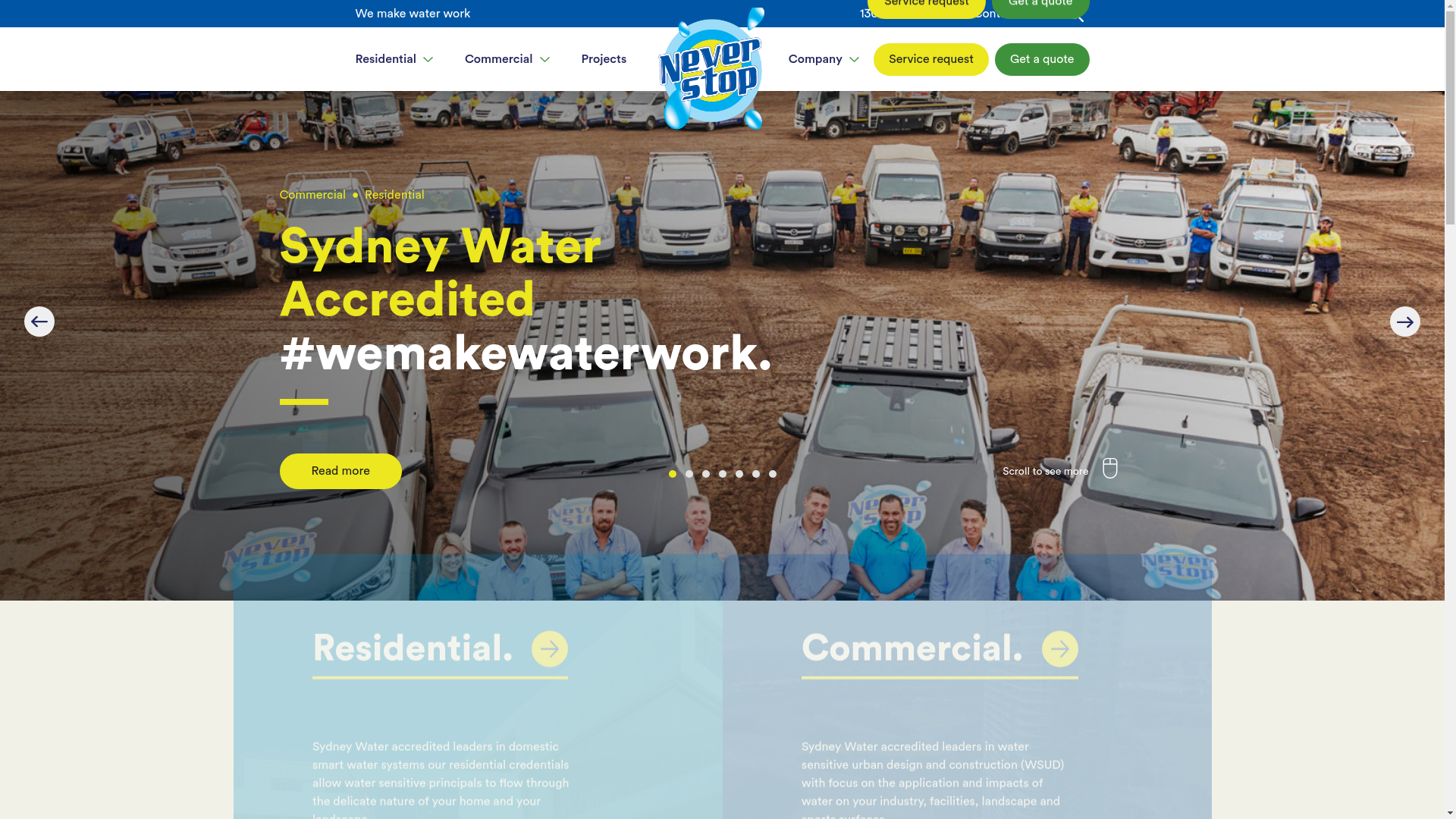 website screenshot of https://nswater.online/