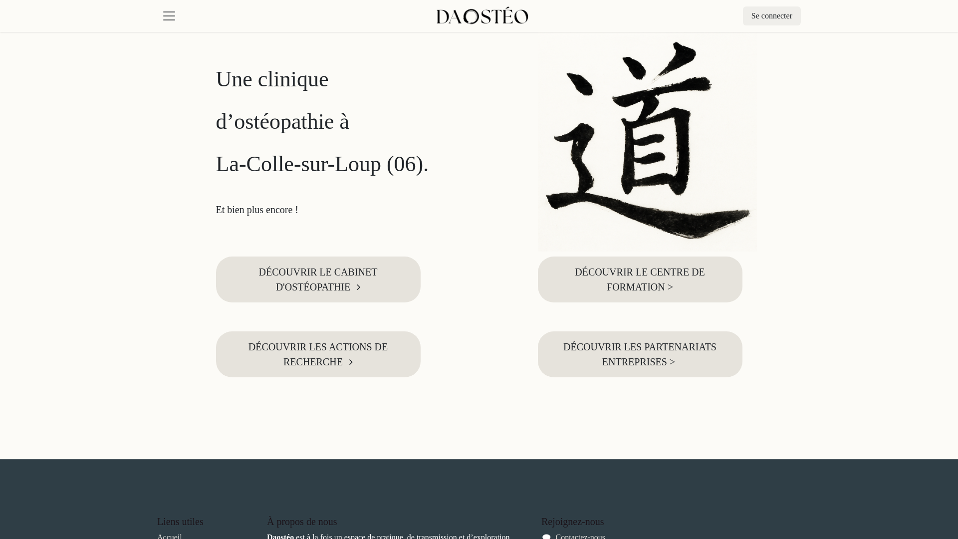 website screenshot of https://daosteo.net/