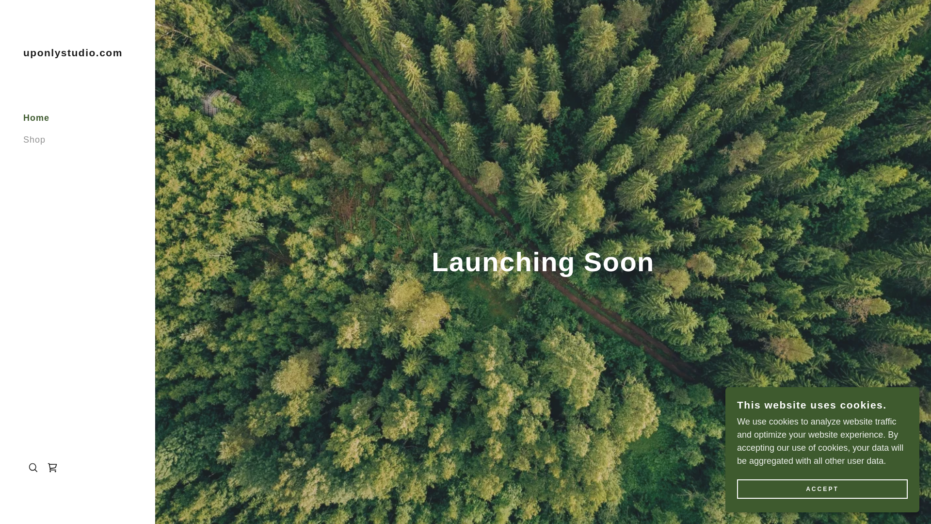 website screenshot of https://uponlystudio.com/