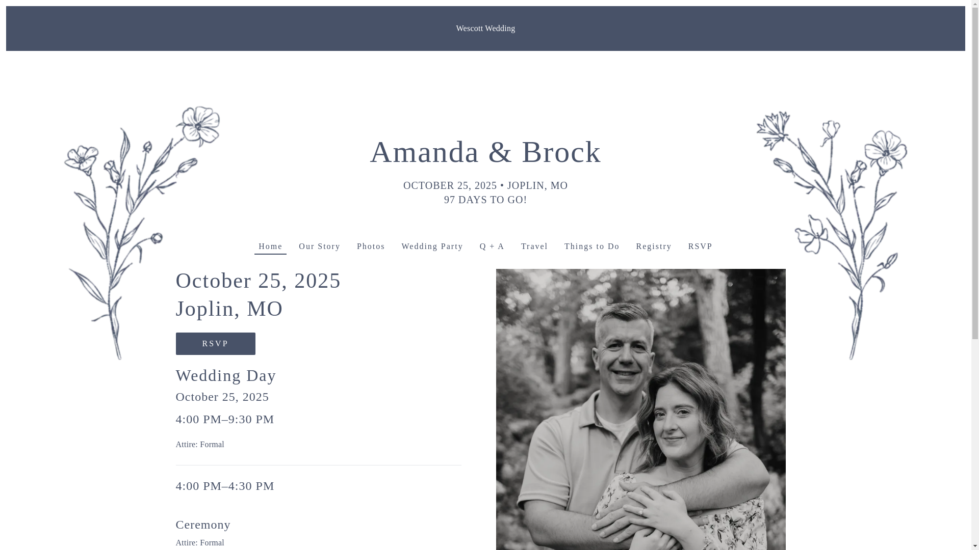 website screenshot of https://wedwithwescott.com/