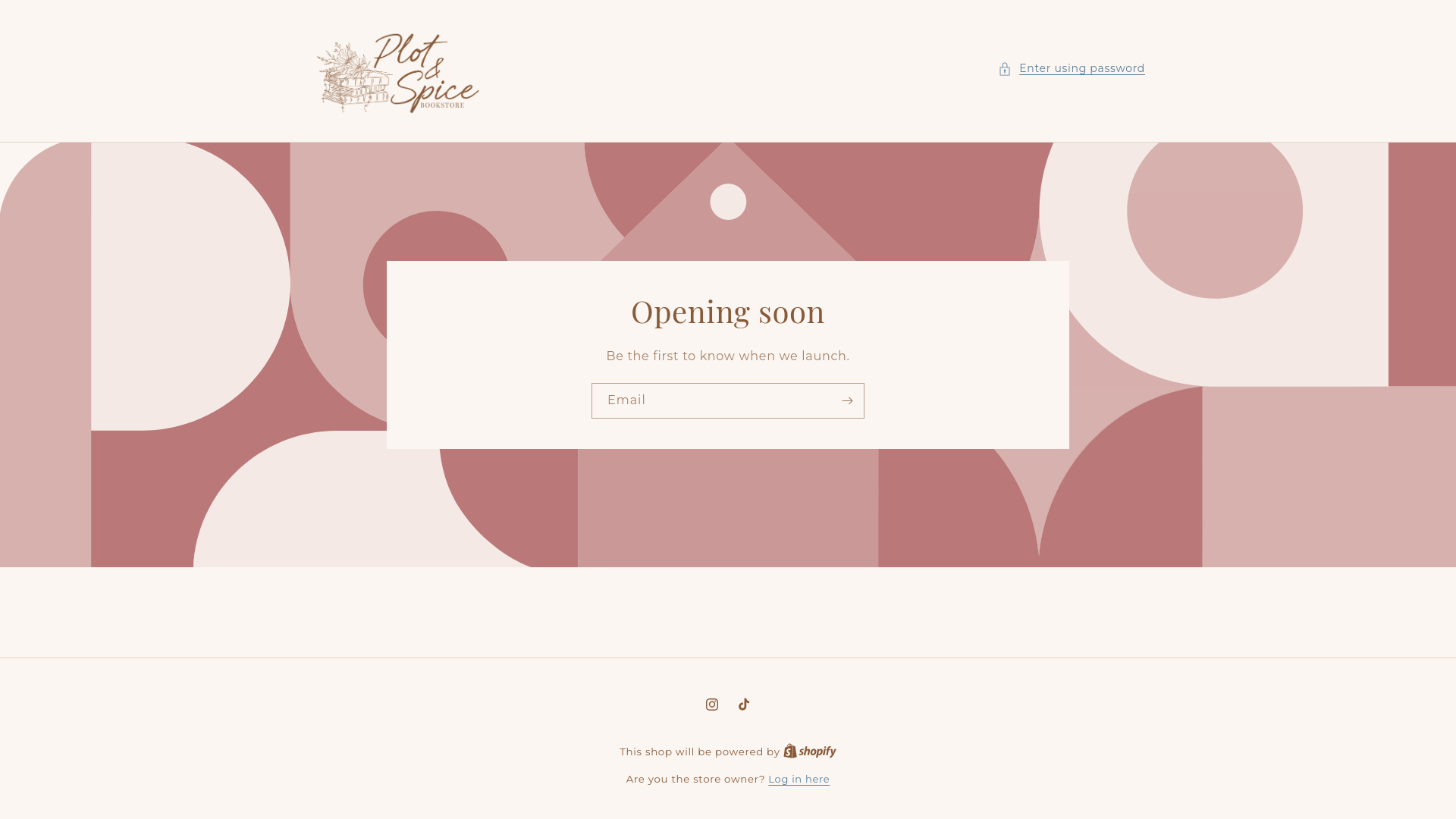 website screenshot of https://plotandspicebooks.com/