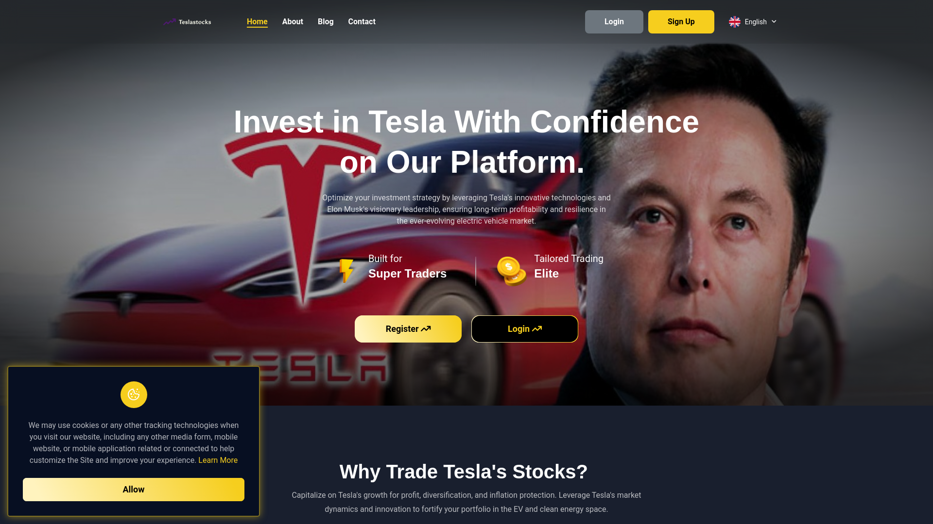 website screenshot of https://teslastockinvestment.top/