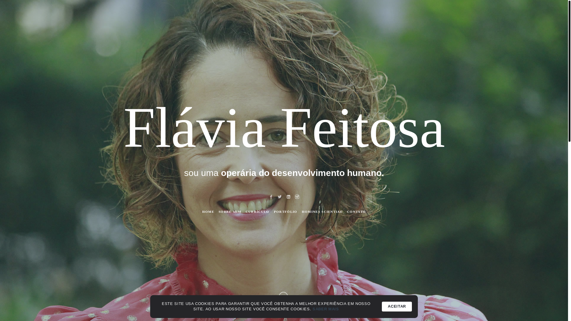website screenshot of https://flaviafeitosa.com.br/