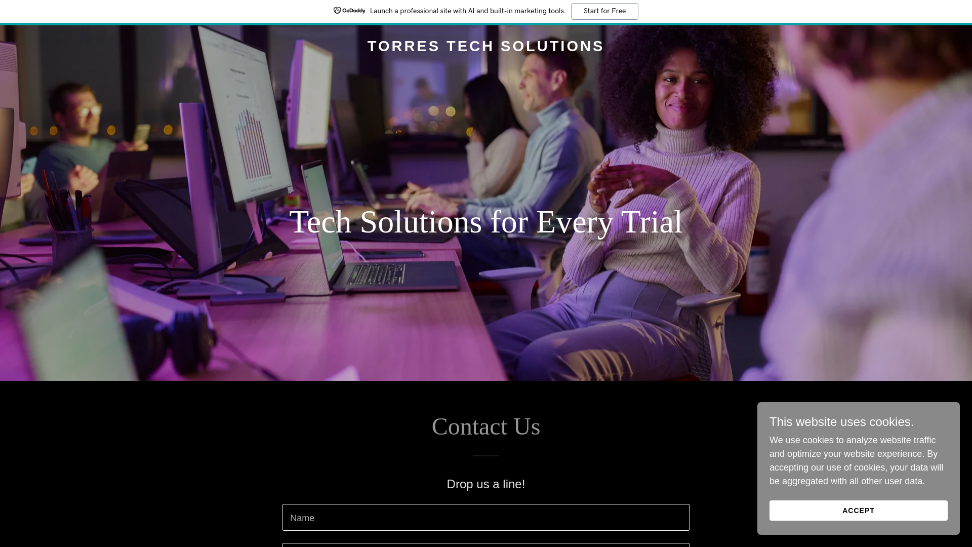 website screenshot of https://torrestechsolutions.net/