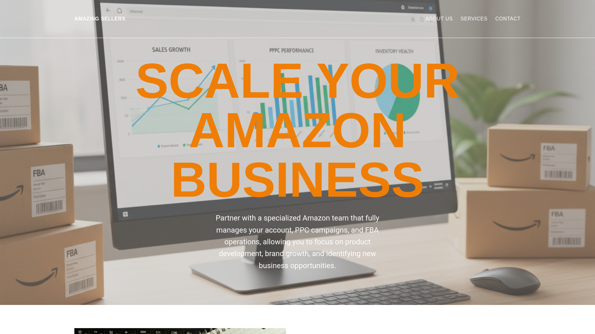 website screenshot of https://amazingsellers.online/