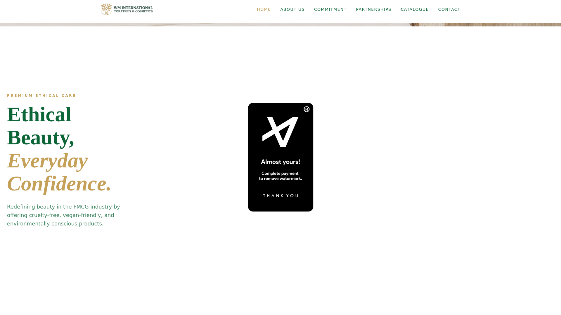website screenshot of https://wminternational.co.za/