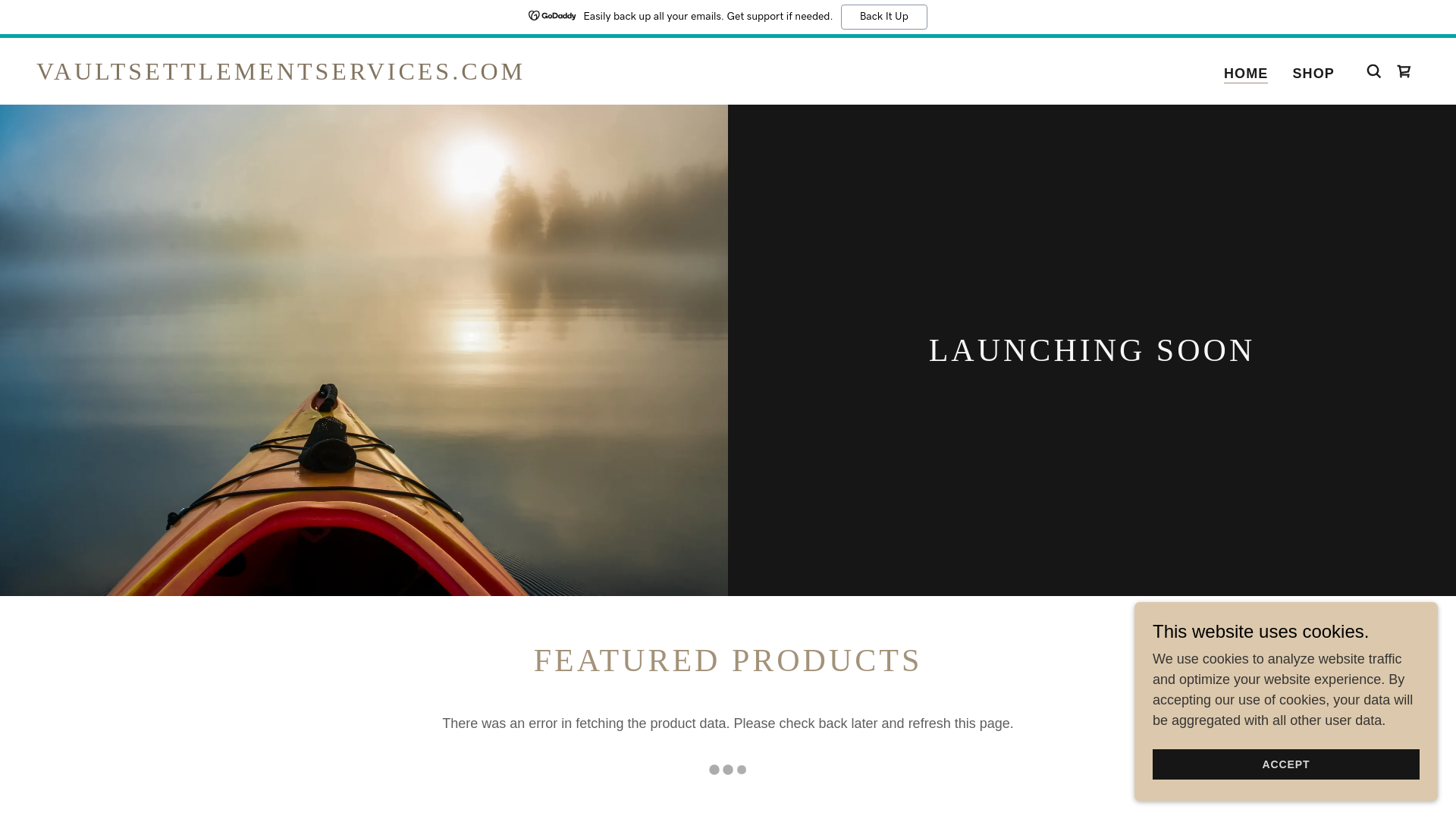 website screenshot of https://vaultsettlementservices.com/