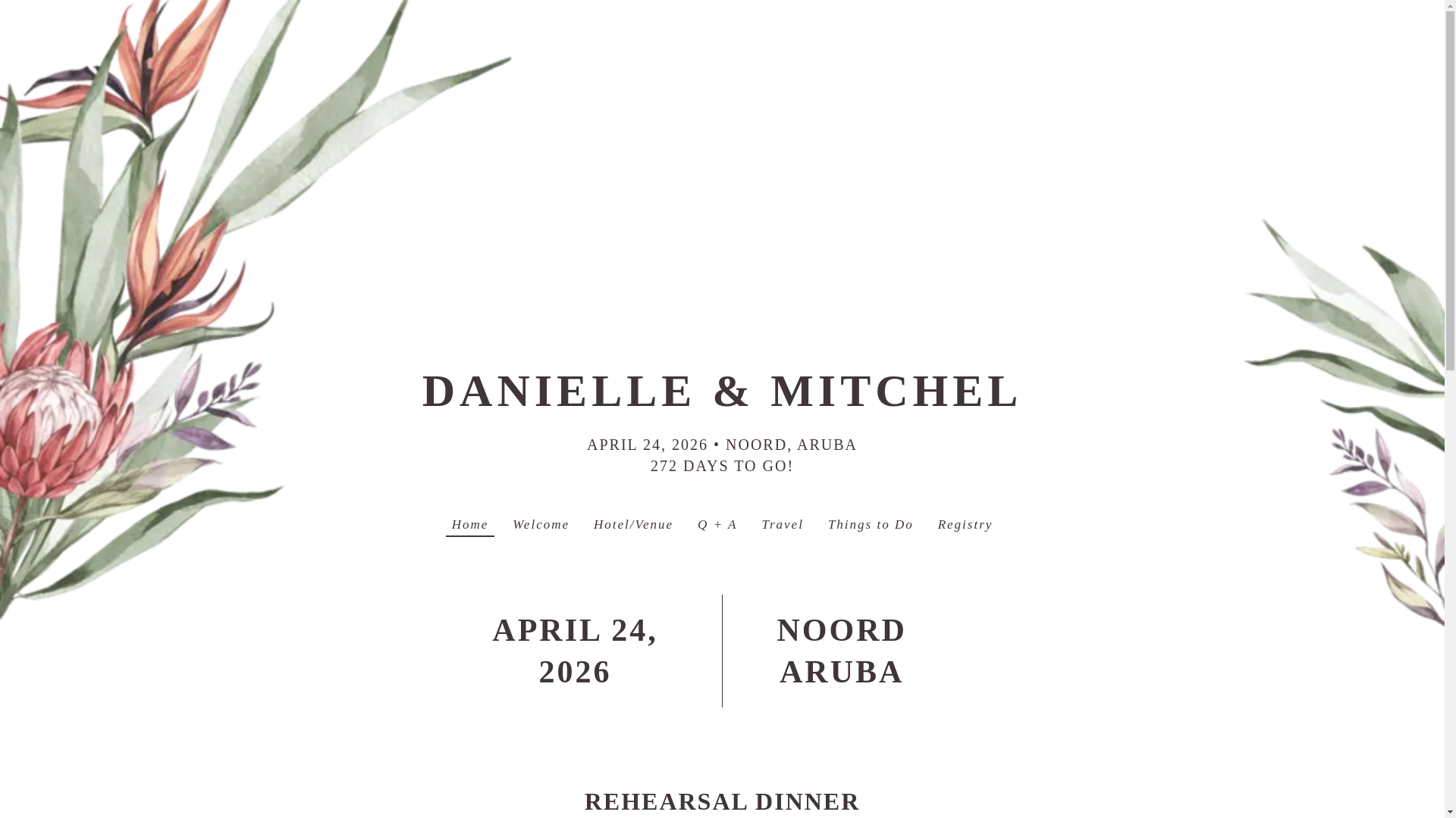 website screenshot of https://danielleandmitchel2026.com/