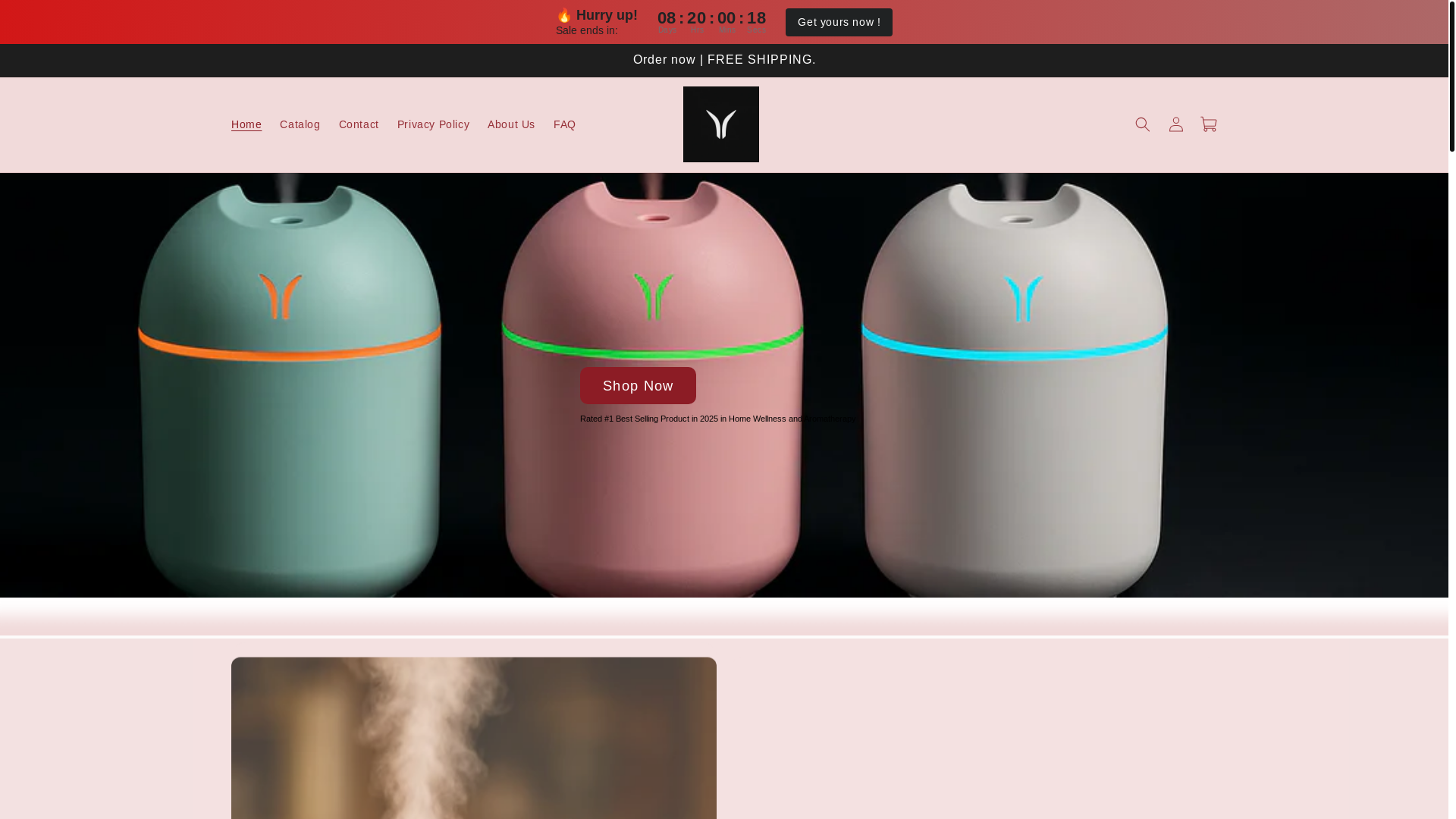 website screenshot of https://quiporahd.com/