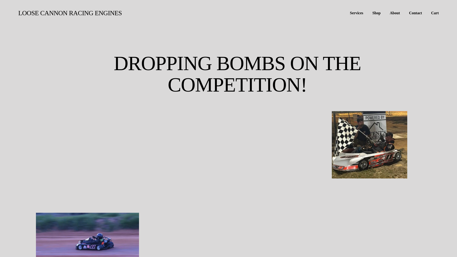 website screenshot of https://loosecannonracingengines.com