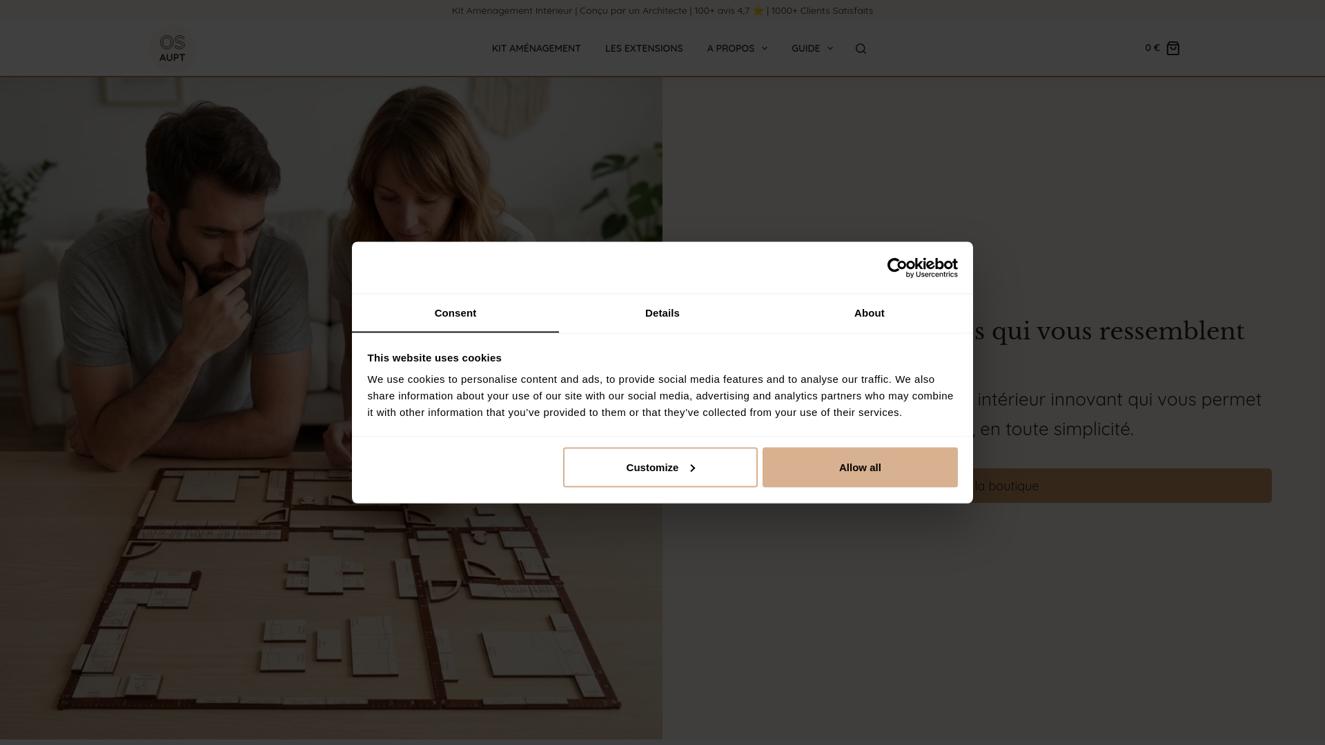 website screenshot of https://osaupt.com