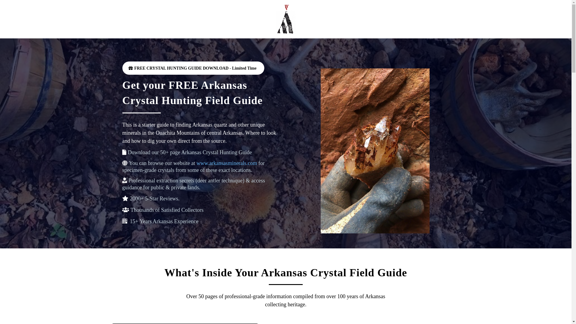 website screenshot of https://digarkansas.com/
