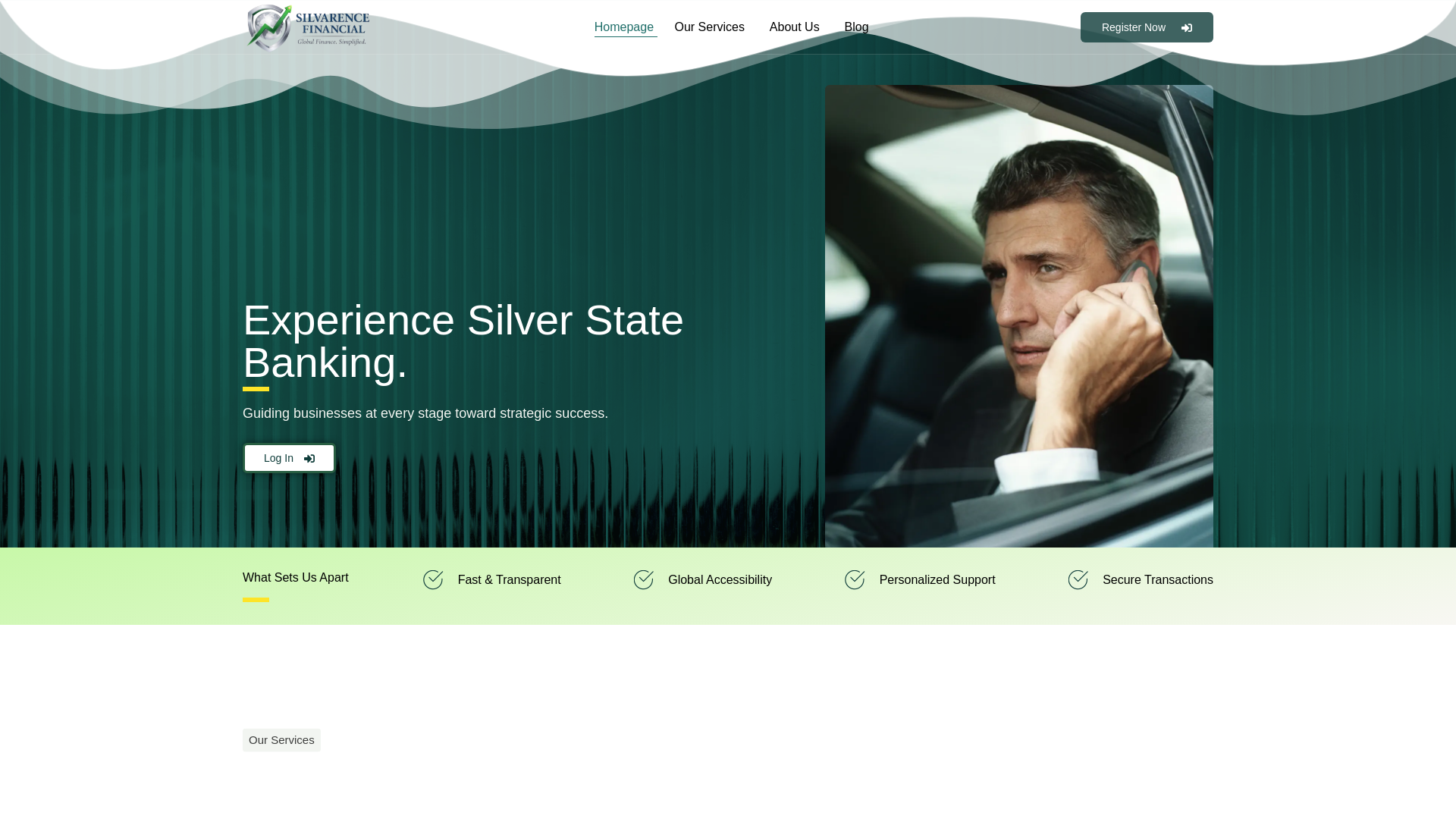 website screenshot of https://silvarence.com/