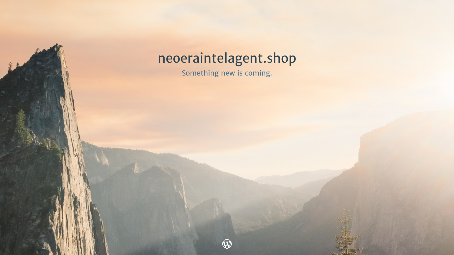 website screenshot of https://neoeraintelagent.shop/
