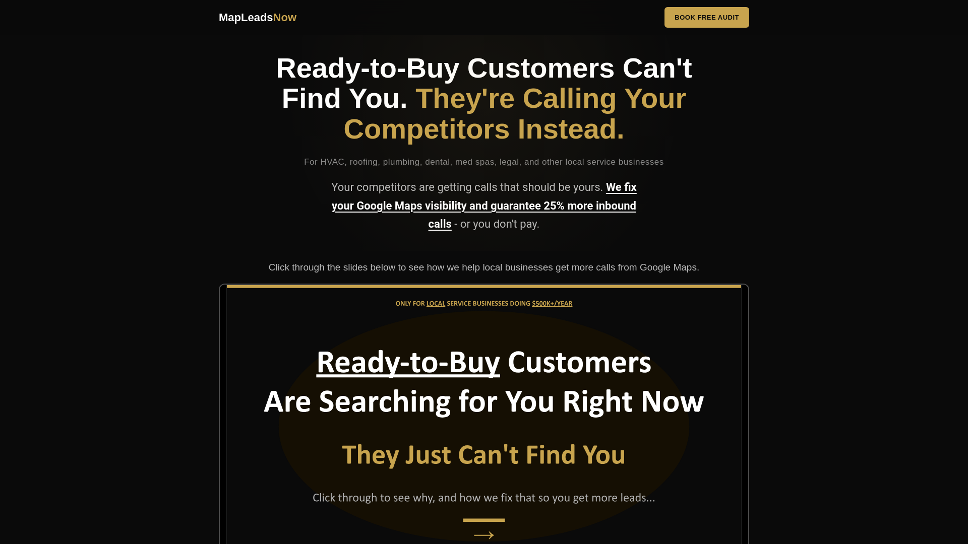 website screenshot of https://mapleadsnow.com/