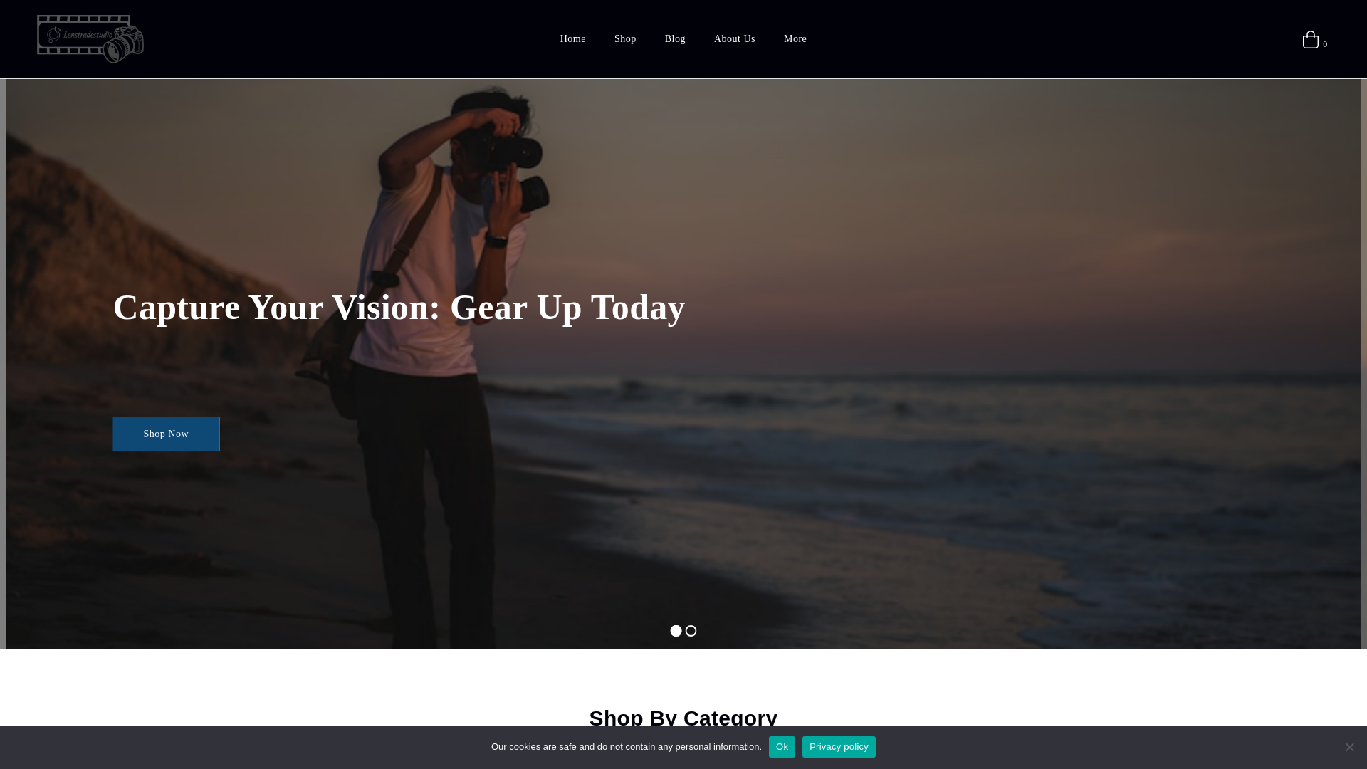 website screenshot of https://lenstradestudio.com/