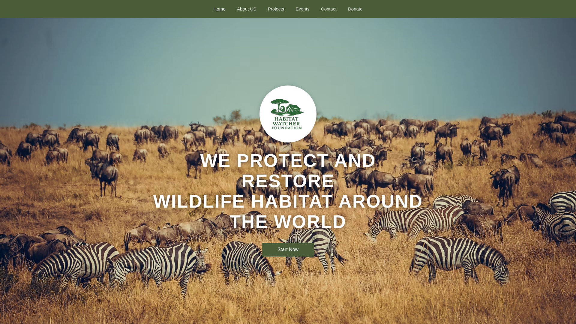 website screenshot of https://hwfwebsite.pages.dev/