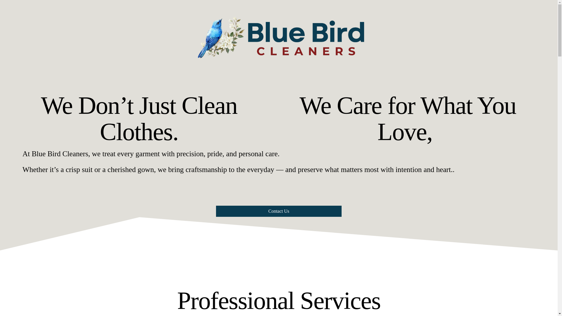 website screenshot of https://bluebirddrycleaners.com/