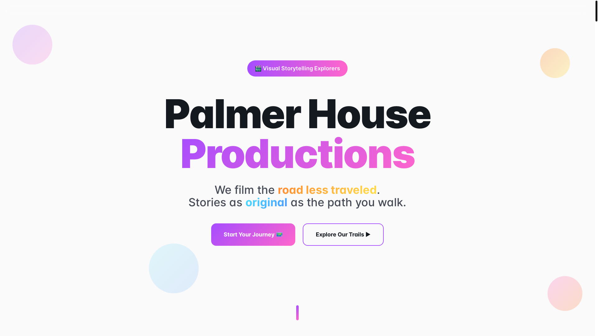 website screenshot of https://palmerhouseproductions.store/