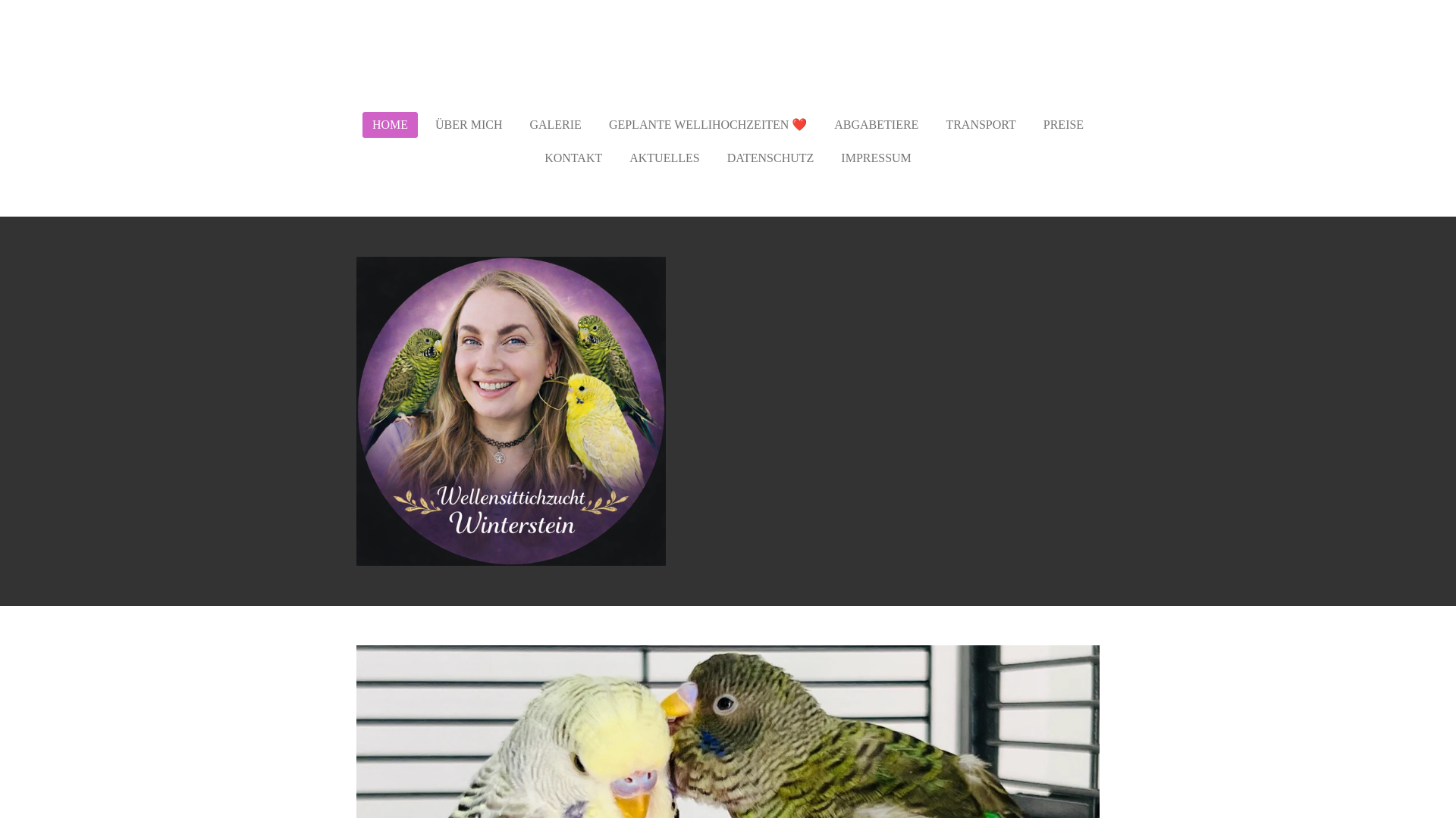 website screenshot of https://winterstein-wellis.de/