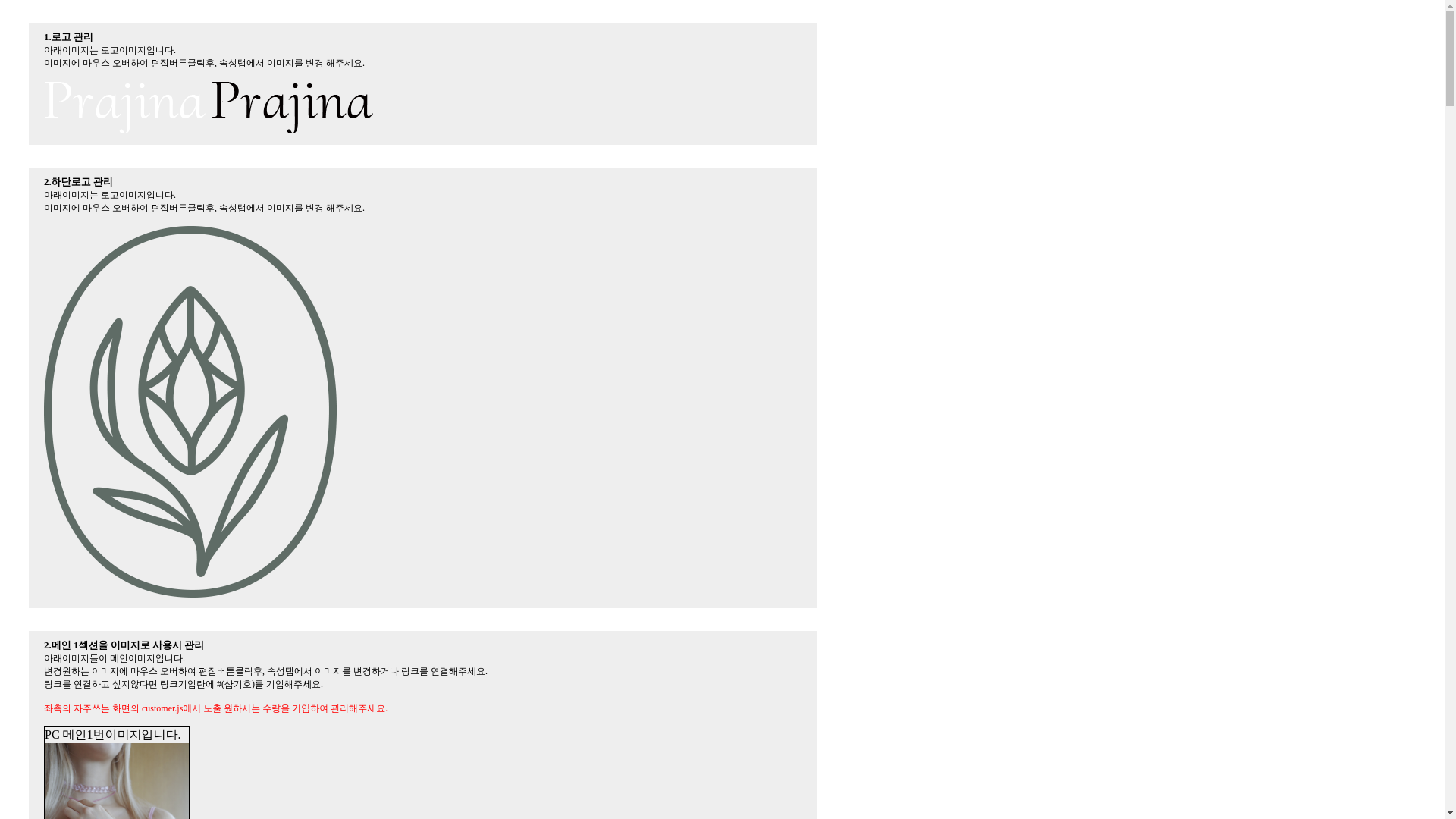 website screenshot of https://prajinastudio.kr/