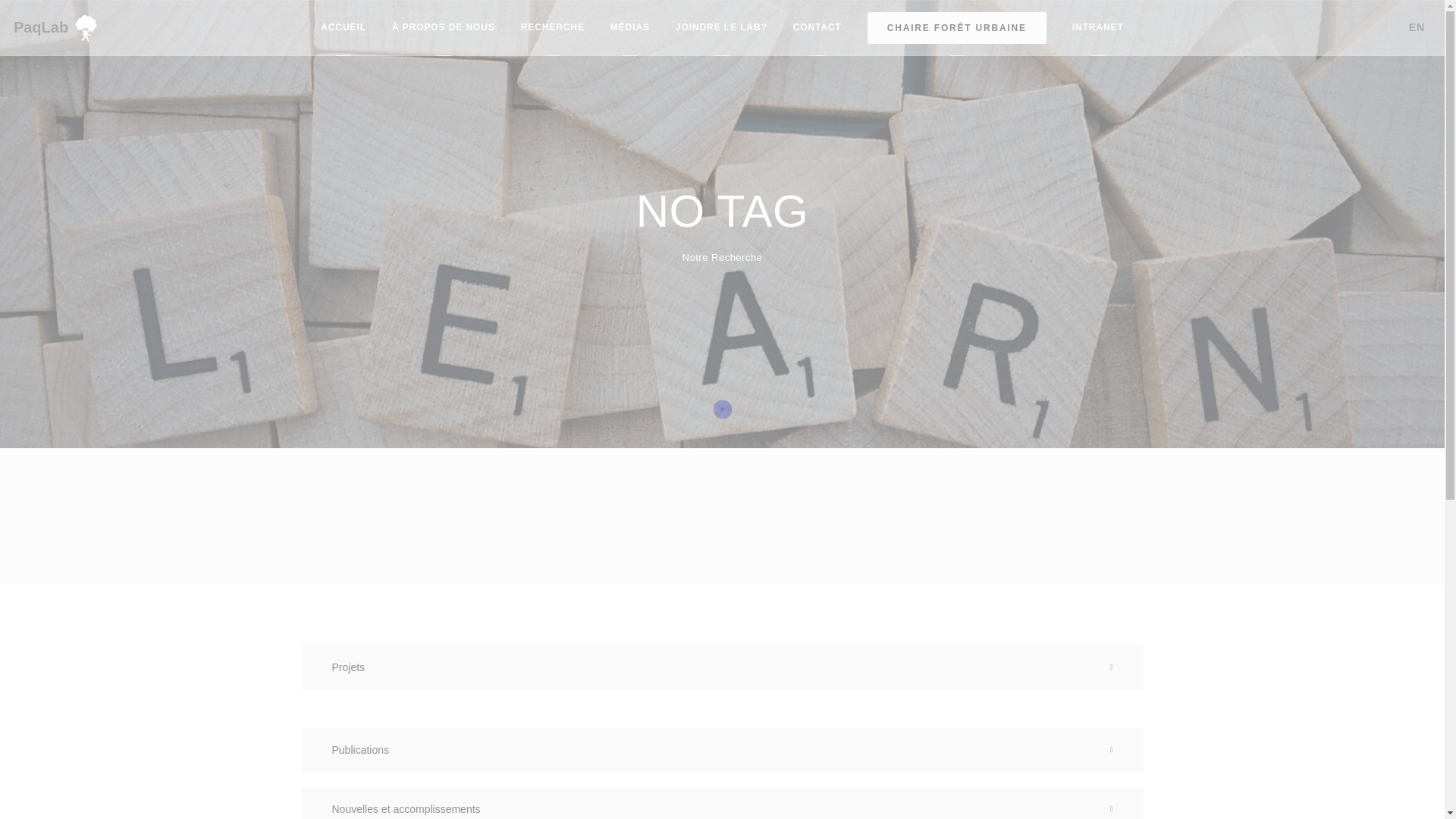 website screenshot of https://paqlab.uqam.ca/tags.php?id=1eojja5151xogjd0