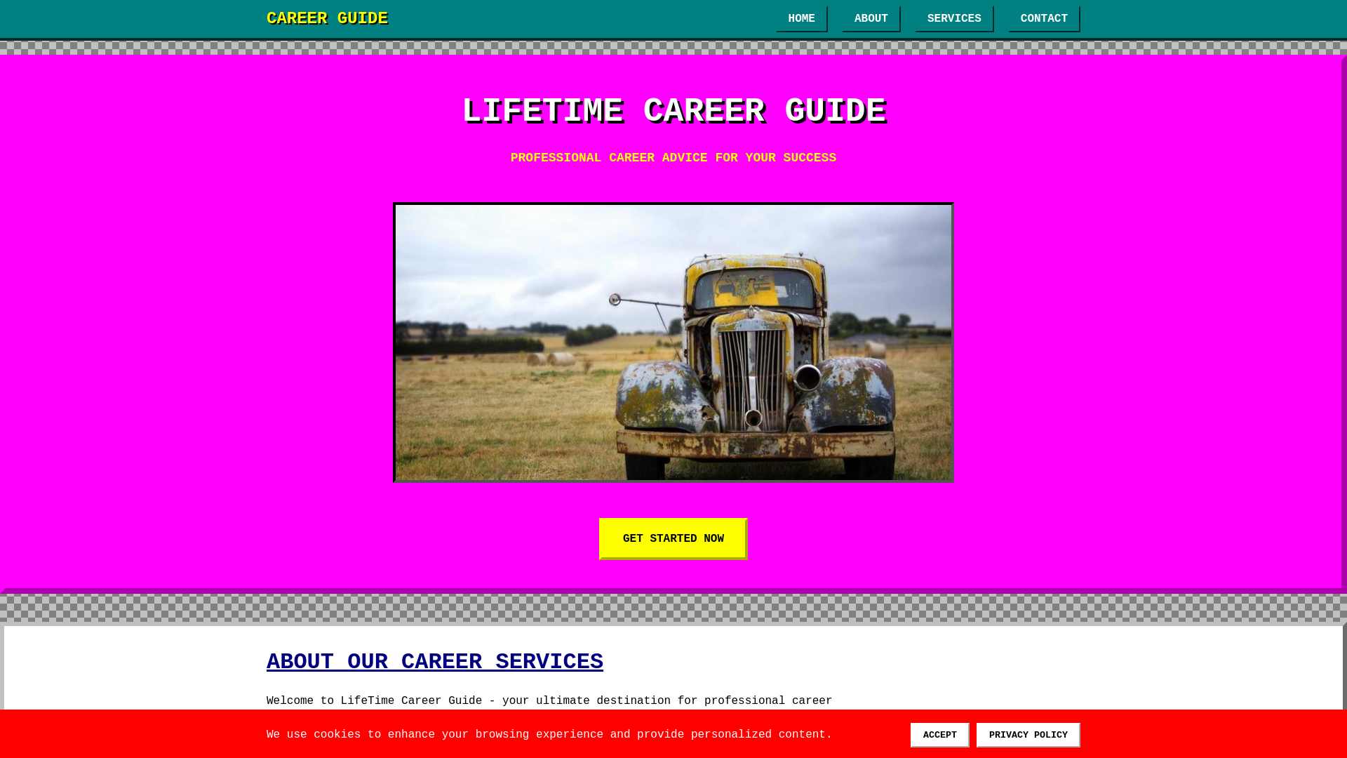 website screenshot of https://lifetimecareerguide.click/