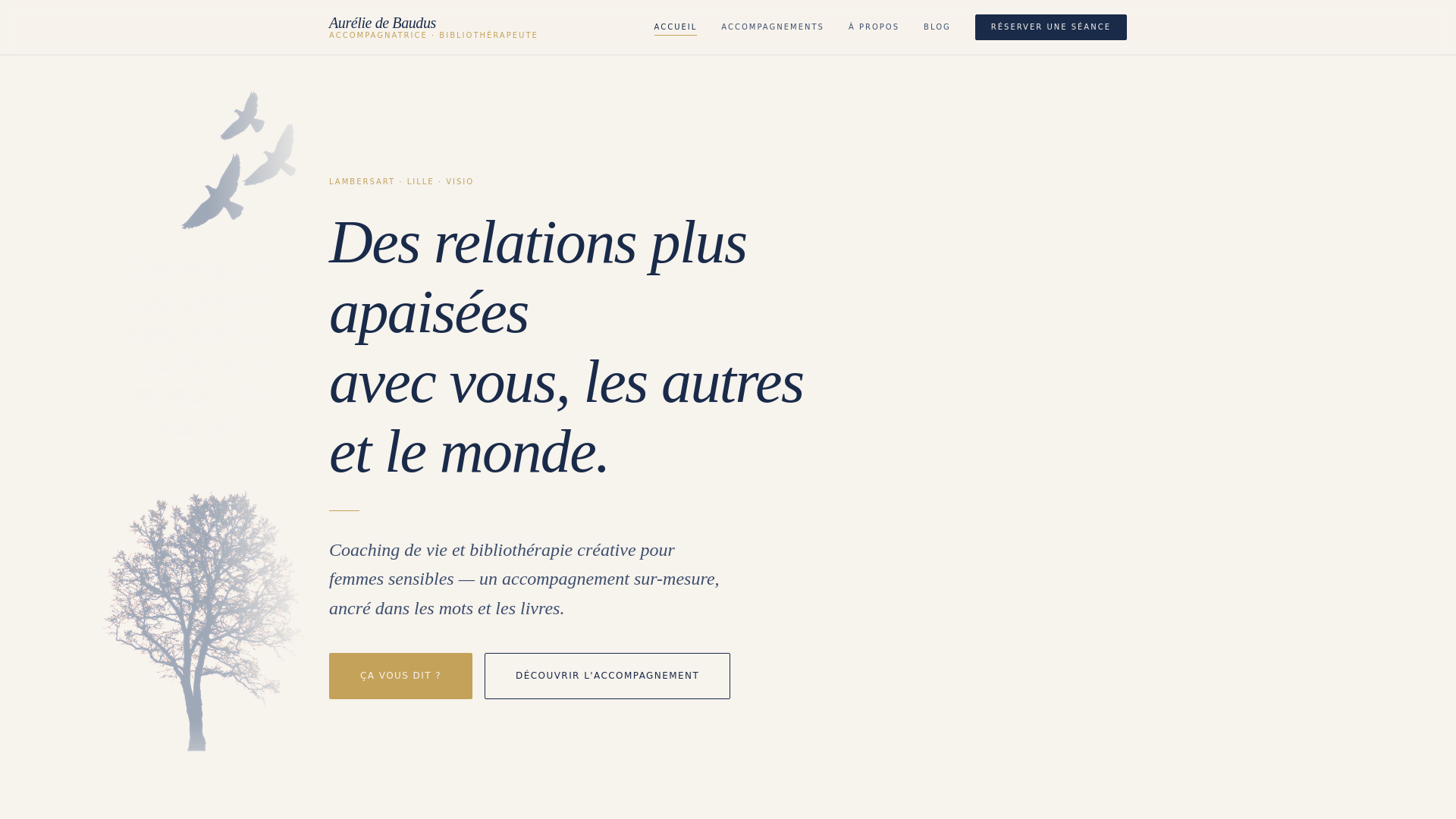 website screenshot of https://aurelie-debaudus.pages.dev/