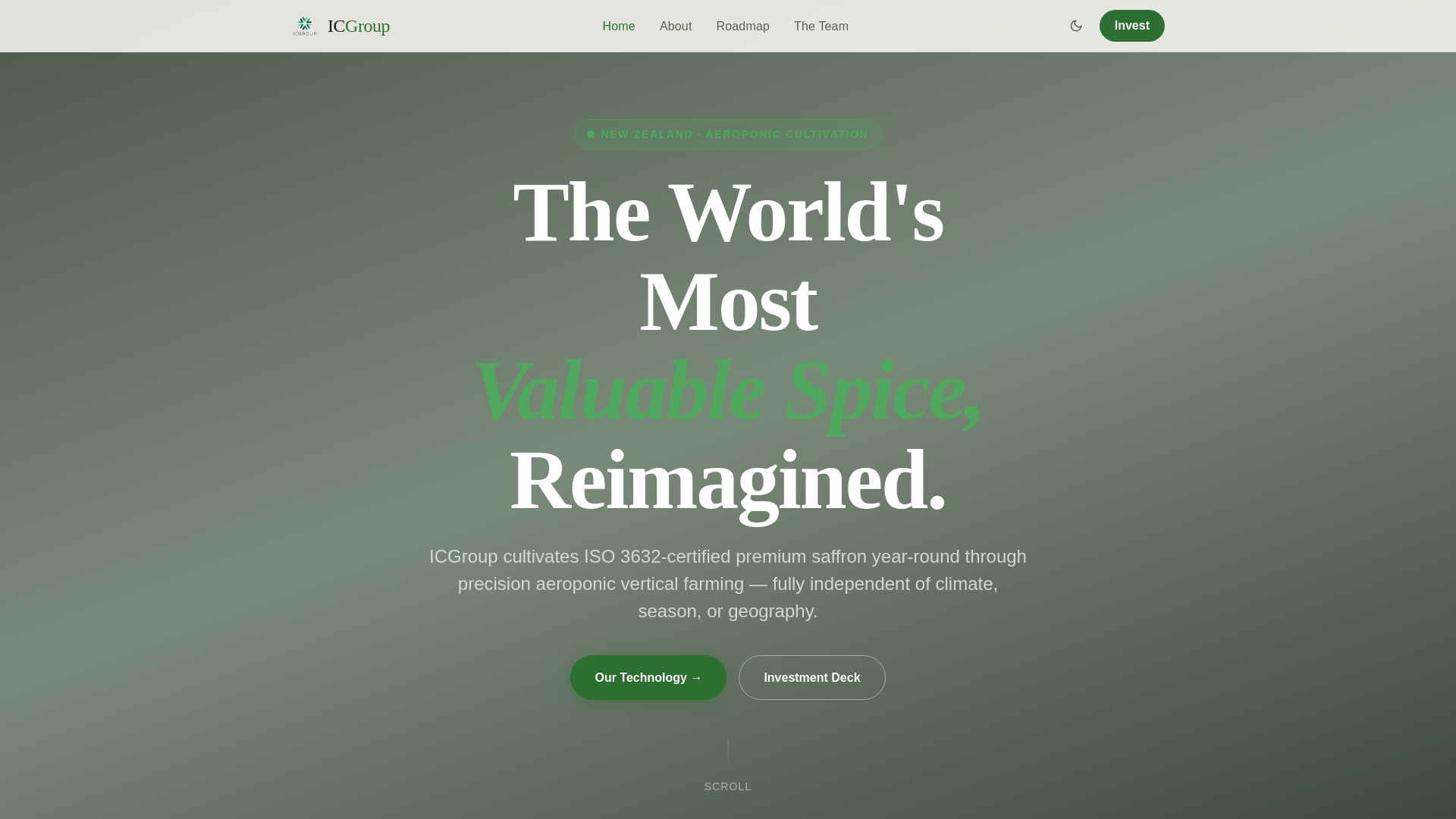 website screenshot of https://website-8js.pages.dev/