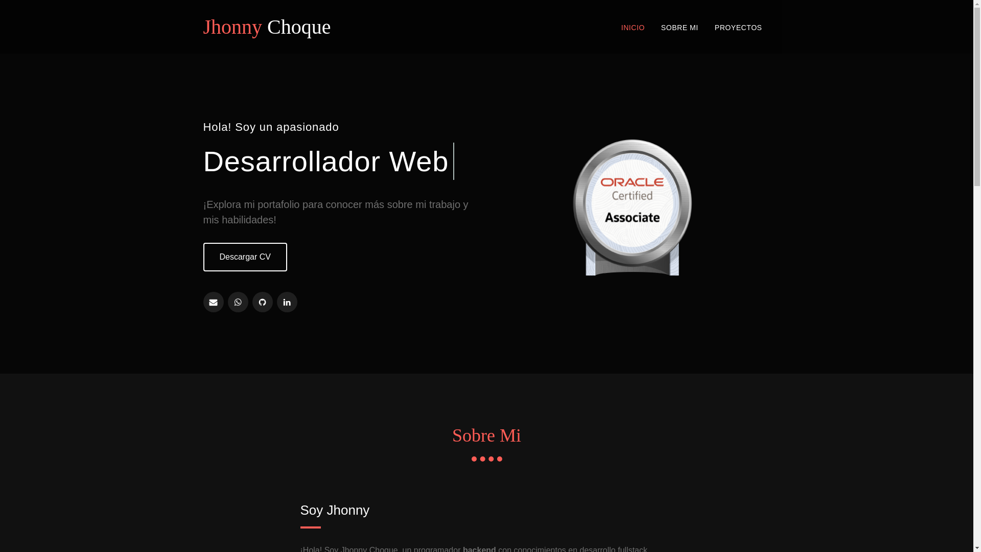 website screenshot of https://jhonny-projects.online/