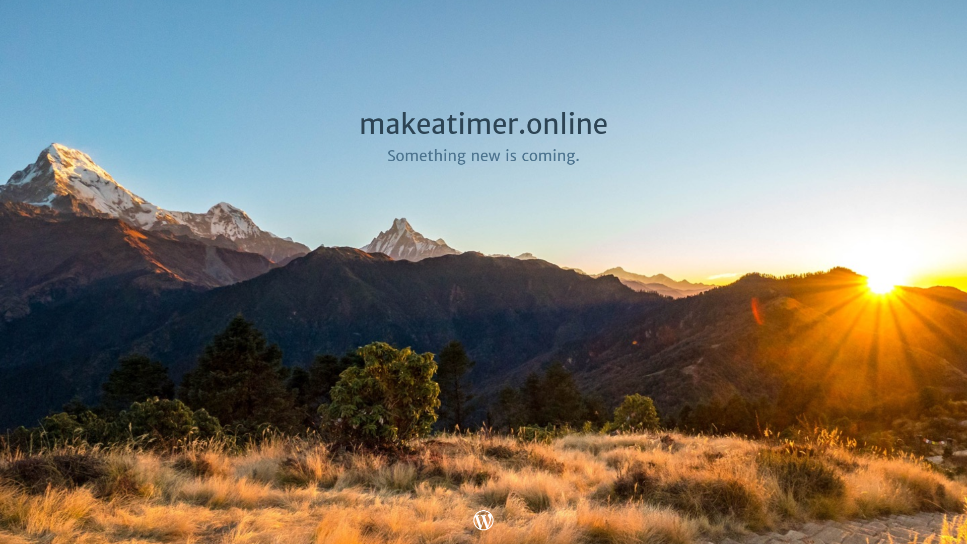website screenshot of https://makeatimer.online/