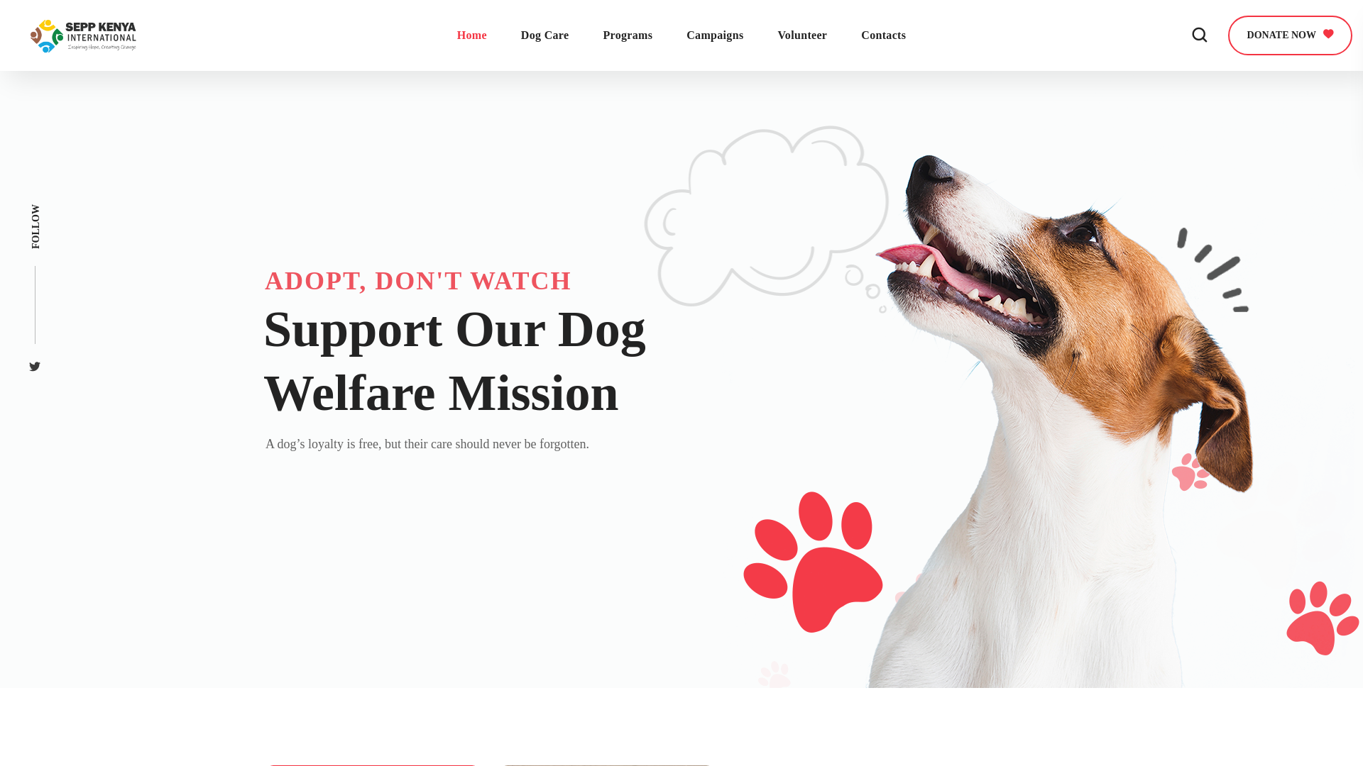 website screenshot of https://sepp.international