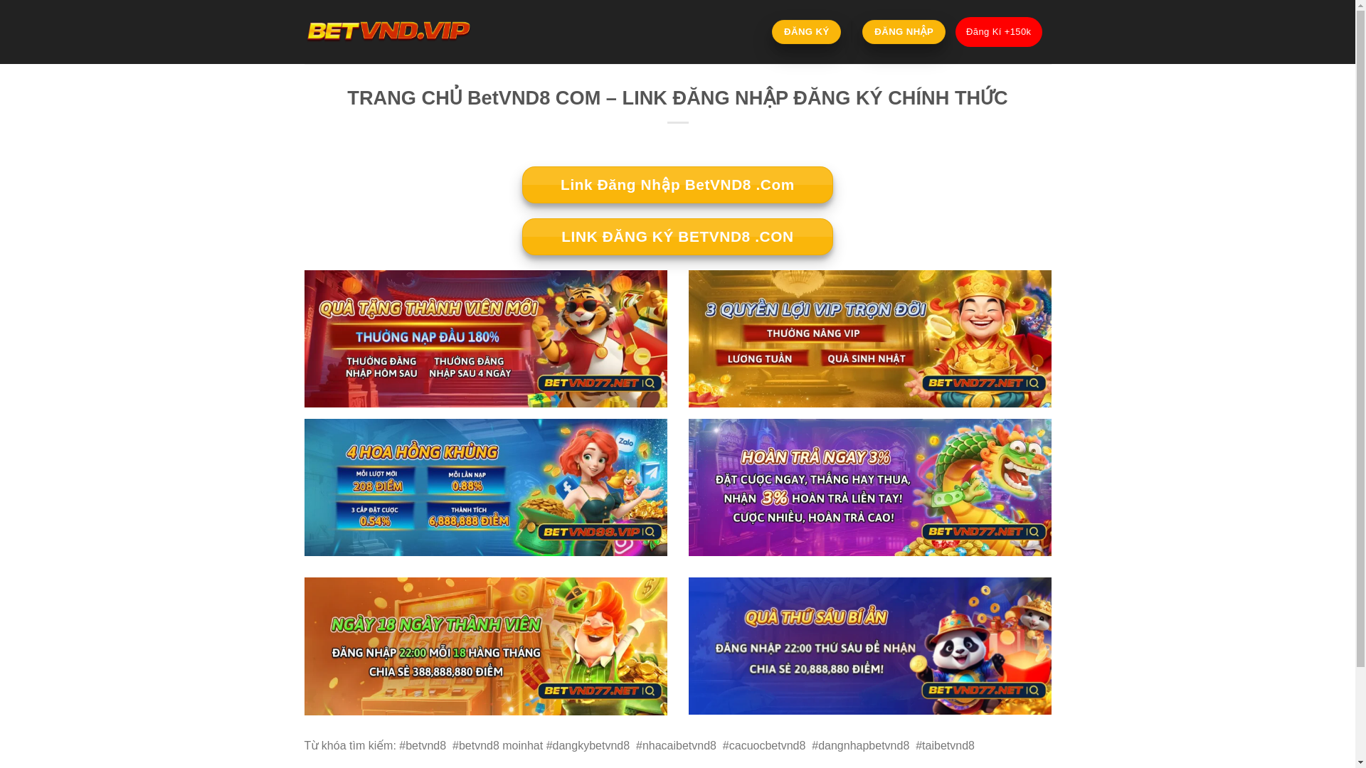 website screenshot of https://betvnd8.win/