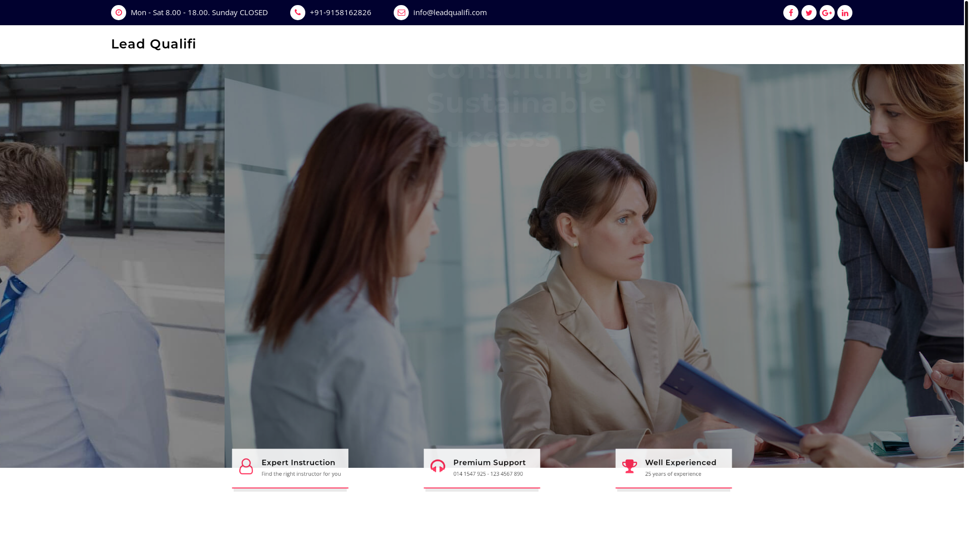 website screenshot of https://leadqualifi.com/