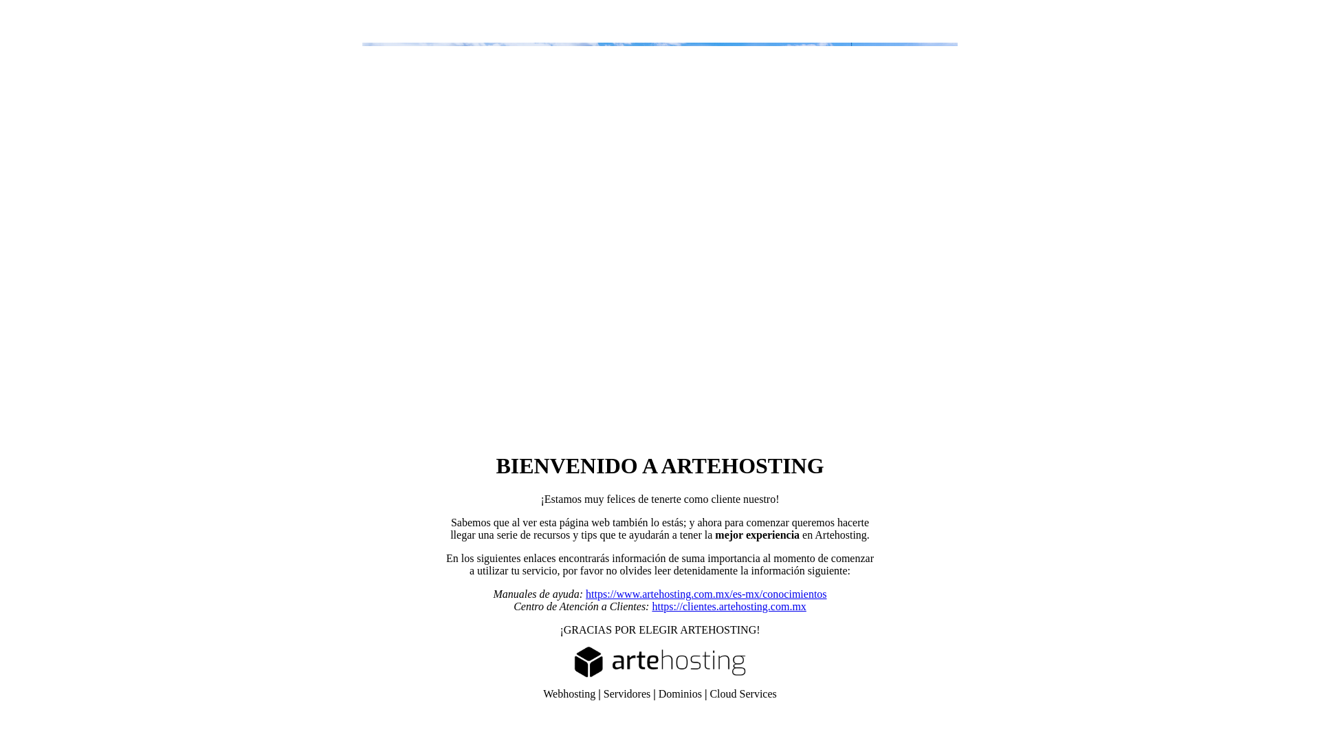 website screenshot of https://widexenmexico.com.mx