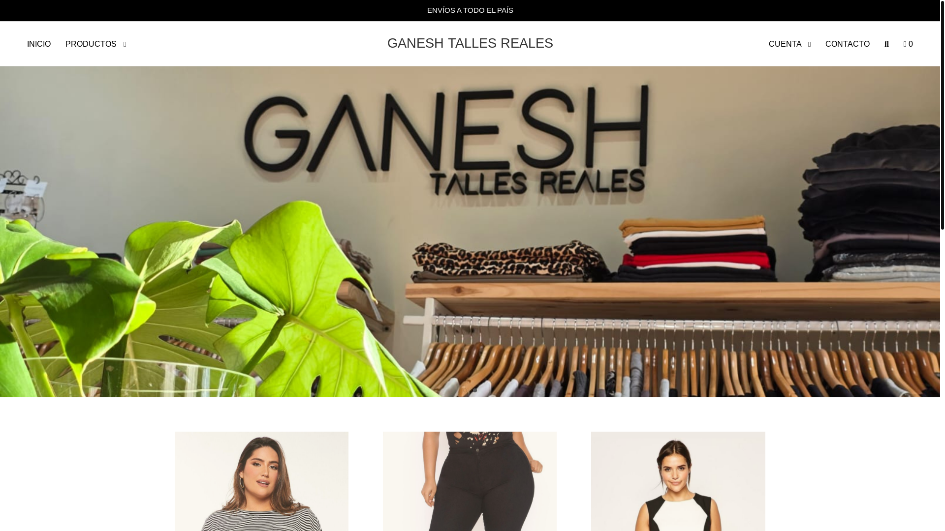 website screenshot of https://ganesh.com.ar/