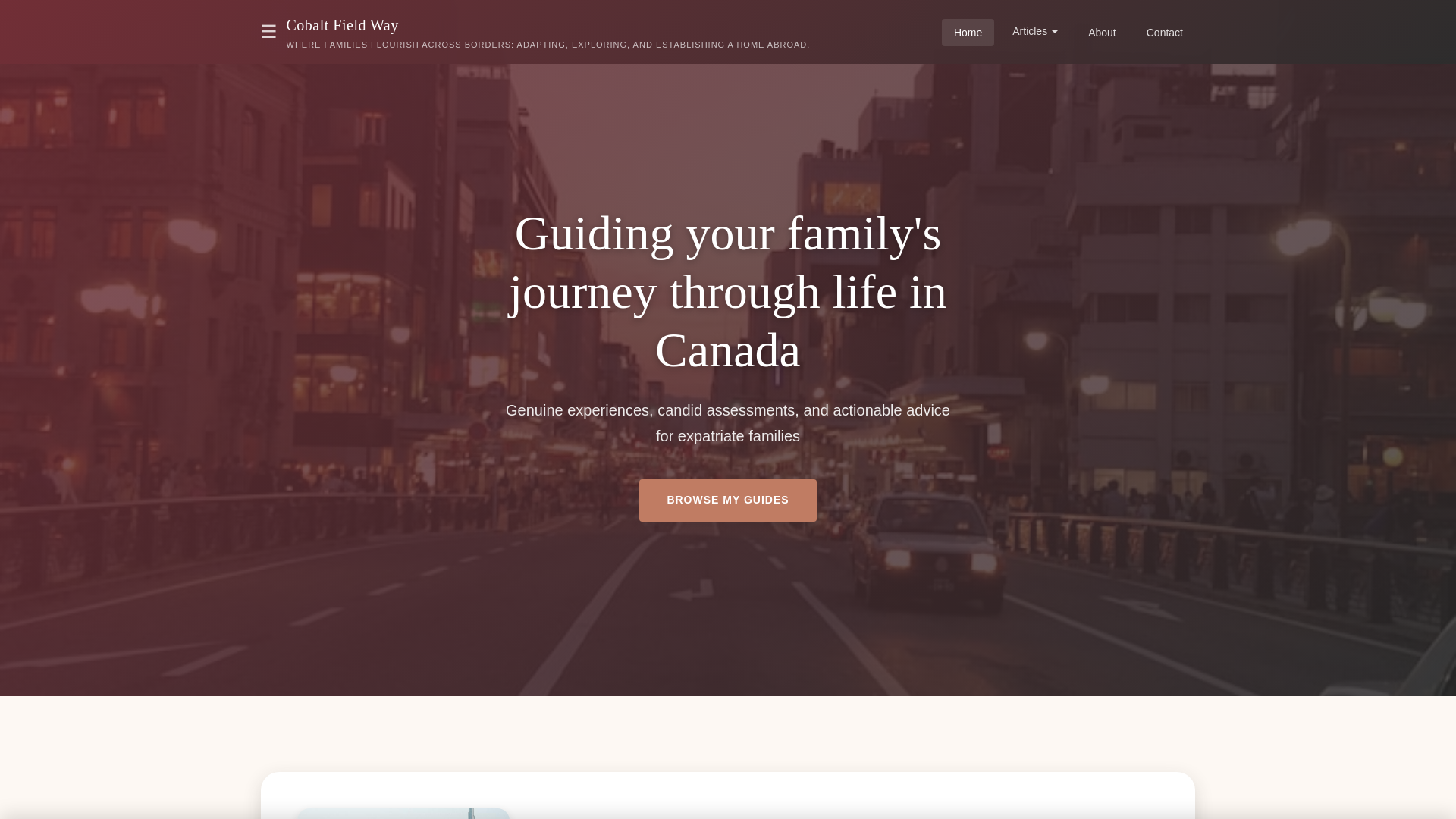 website screenshot of https://cobaltfieldway.xyz/