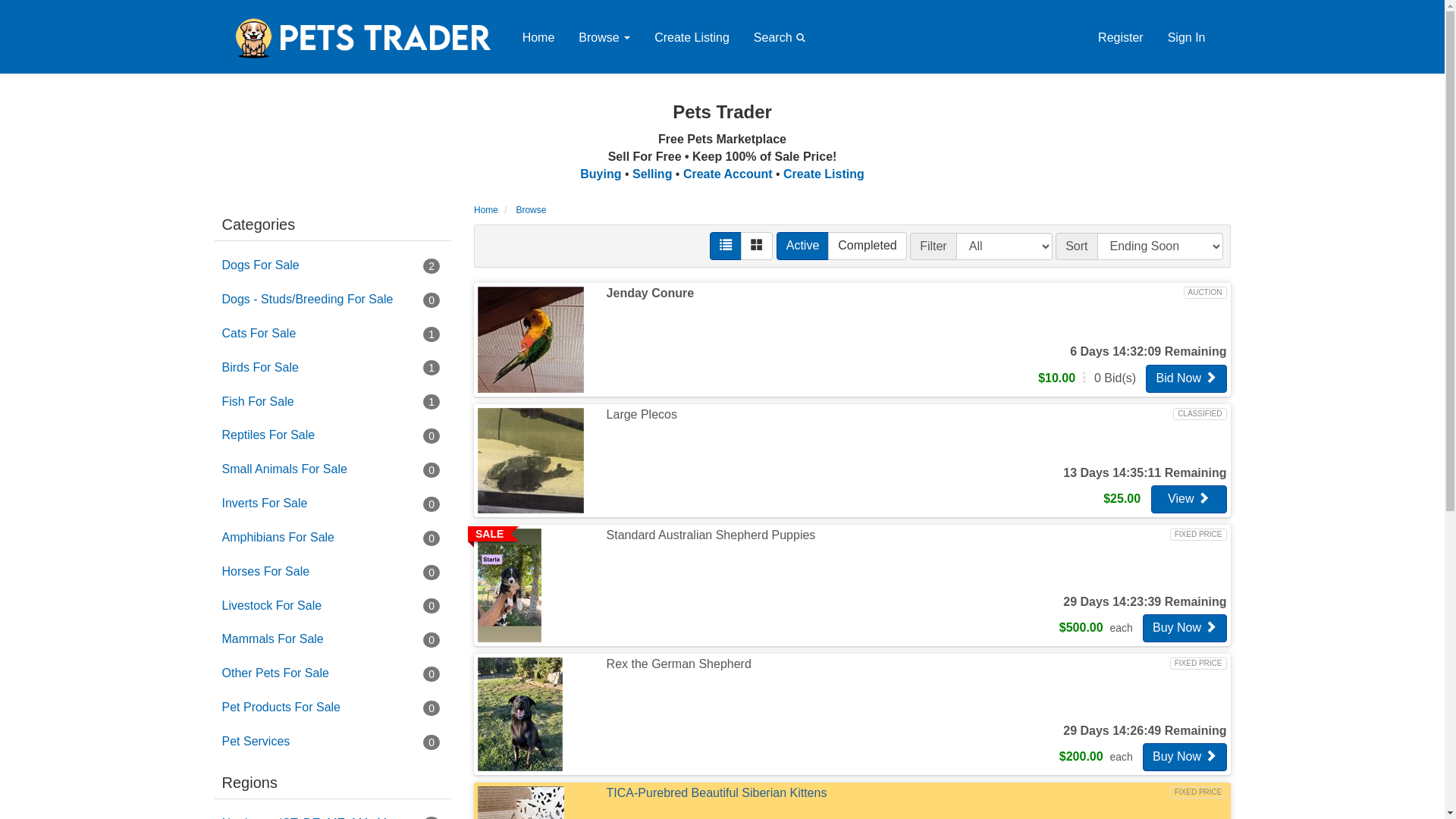 website screenshot of https://stockupped.com/