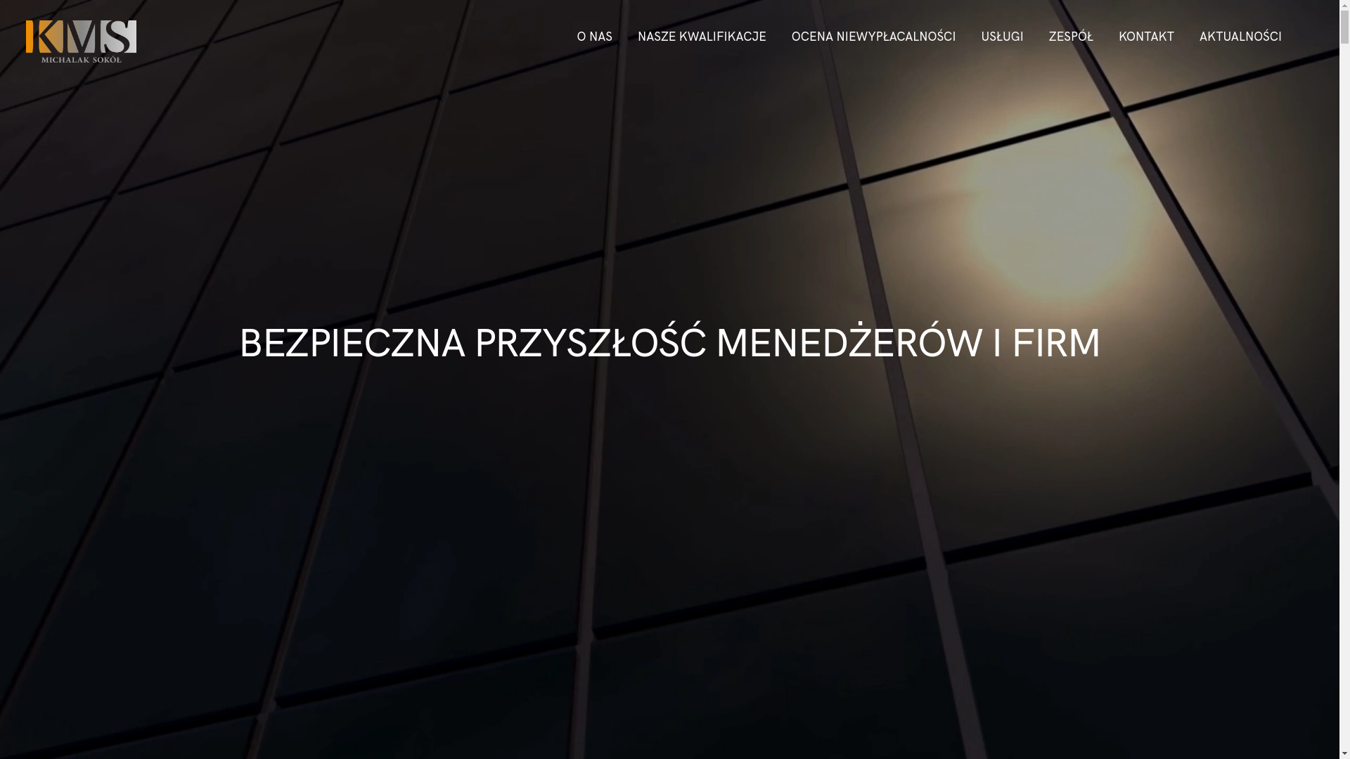 website screenshot of https://badanieniewyplacalnosci.com.pl/