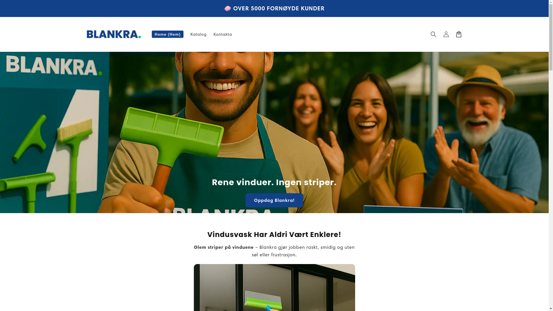 website screenshot of https://blankra.com/