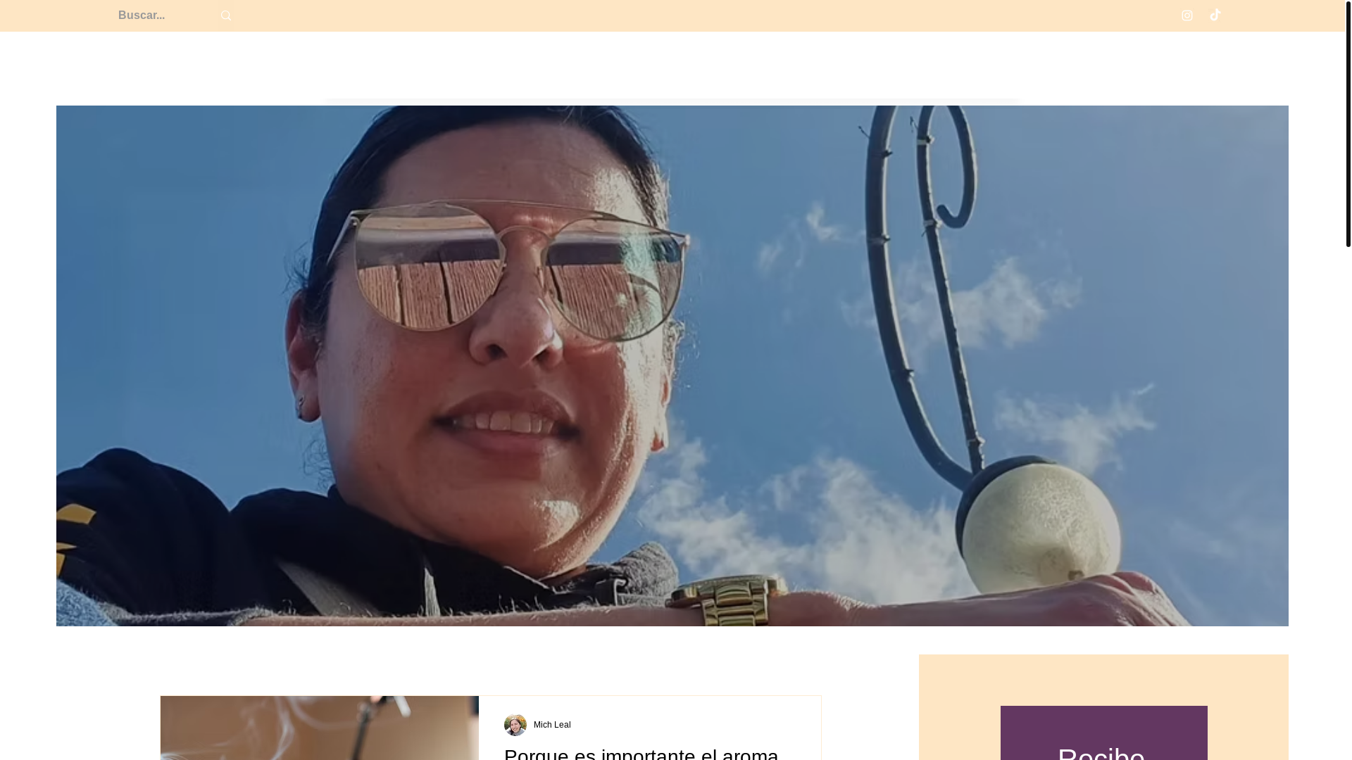 website screenshot of https://michleal.com/