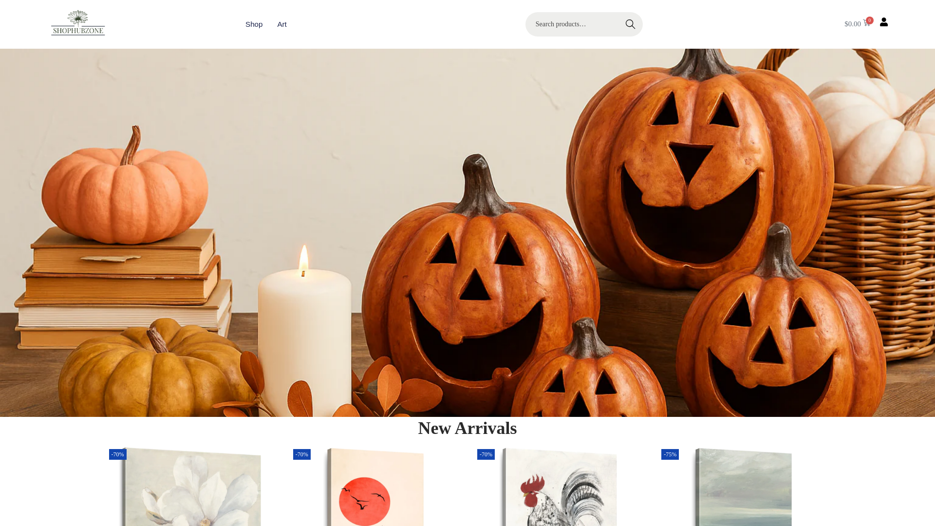 website screenshot of https://shophubzonepro.com/