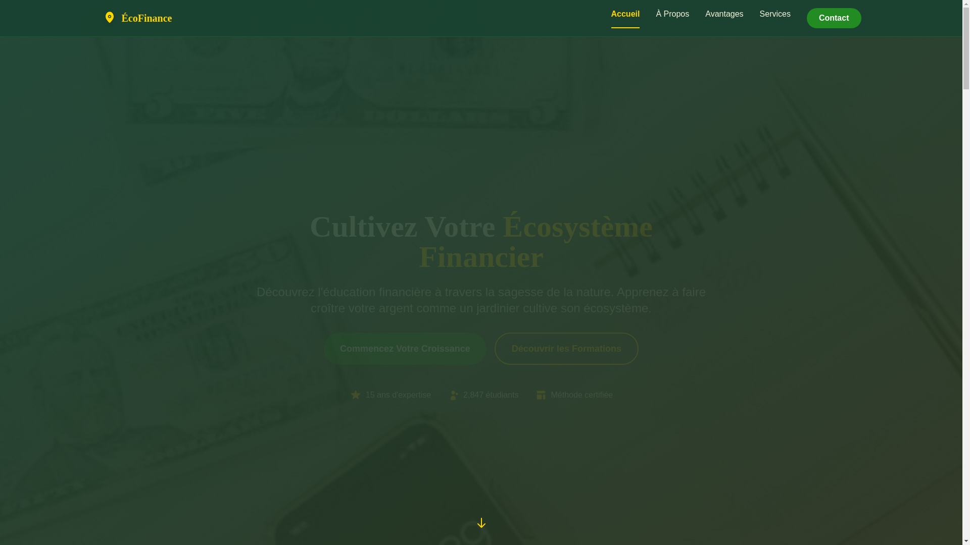 website screenshot of https://selurintavos.com/