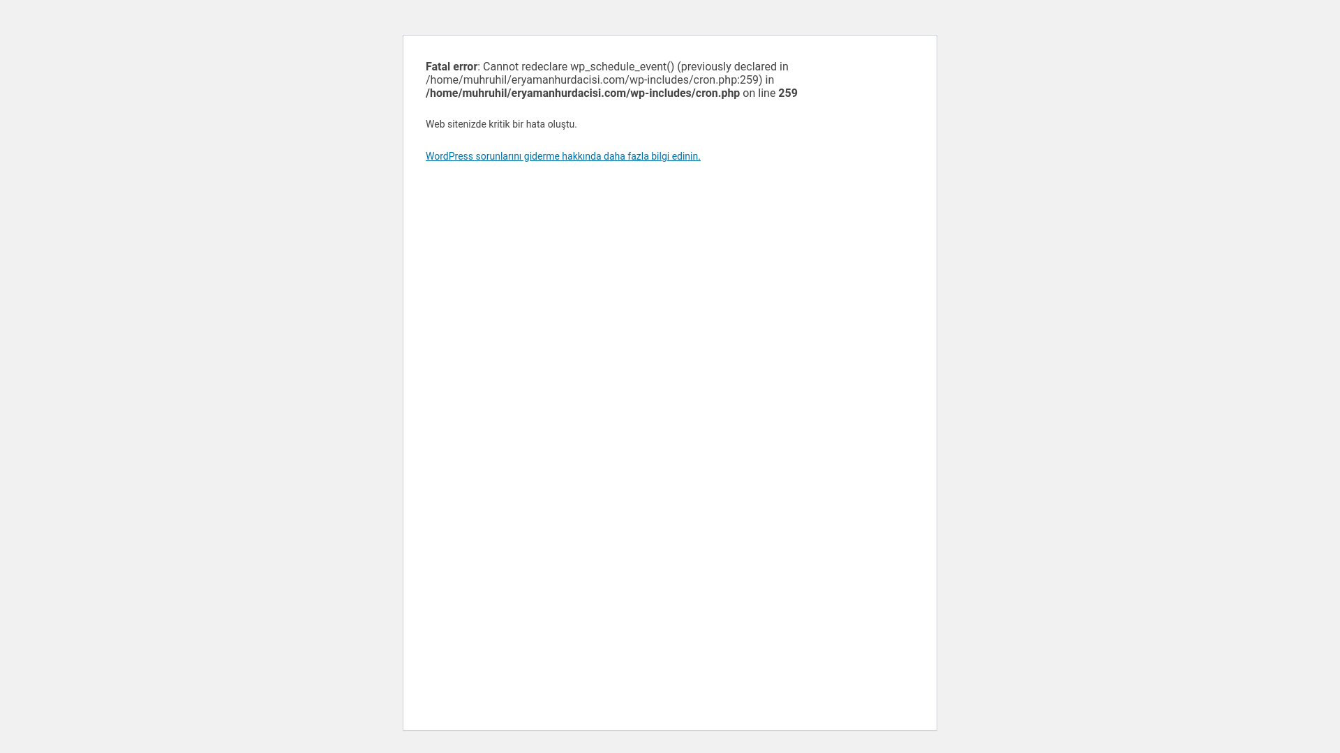 website screenshot of https://eryamanhurdacisi.com/
