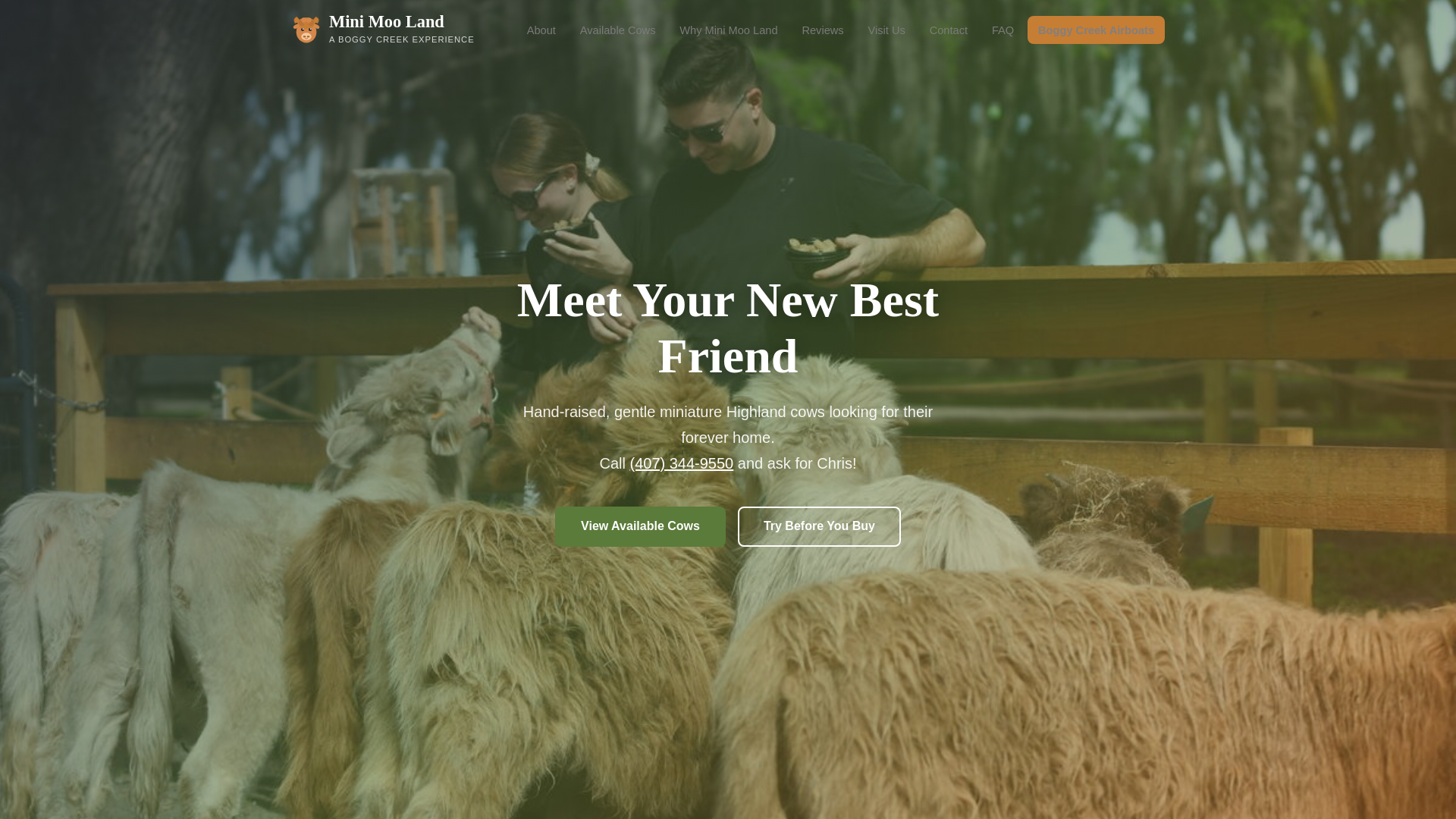 website screenshot of https://gentlehighlands.com