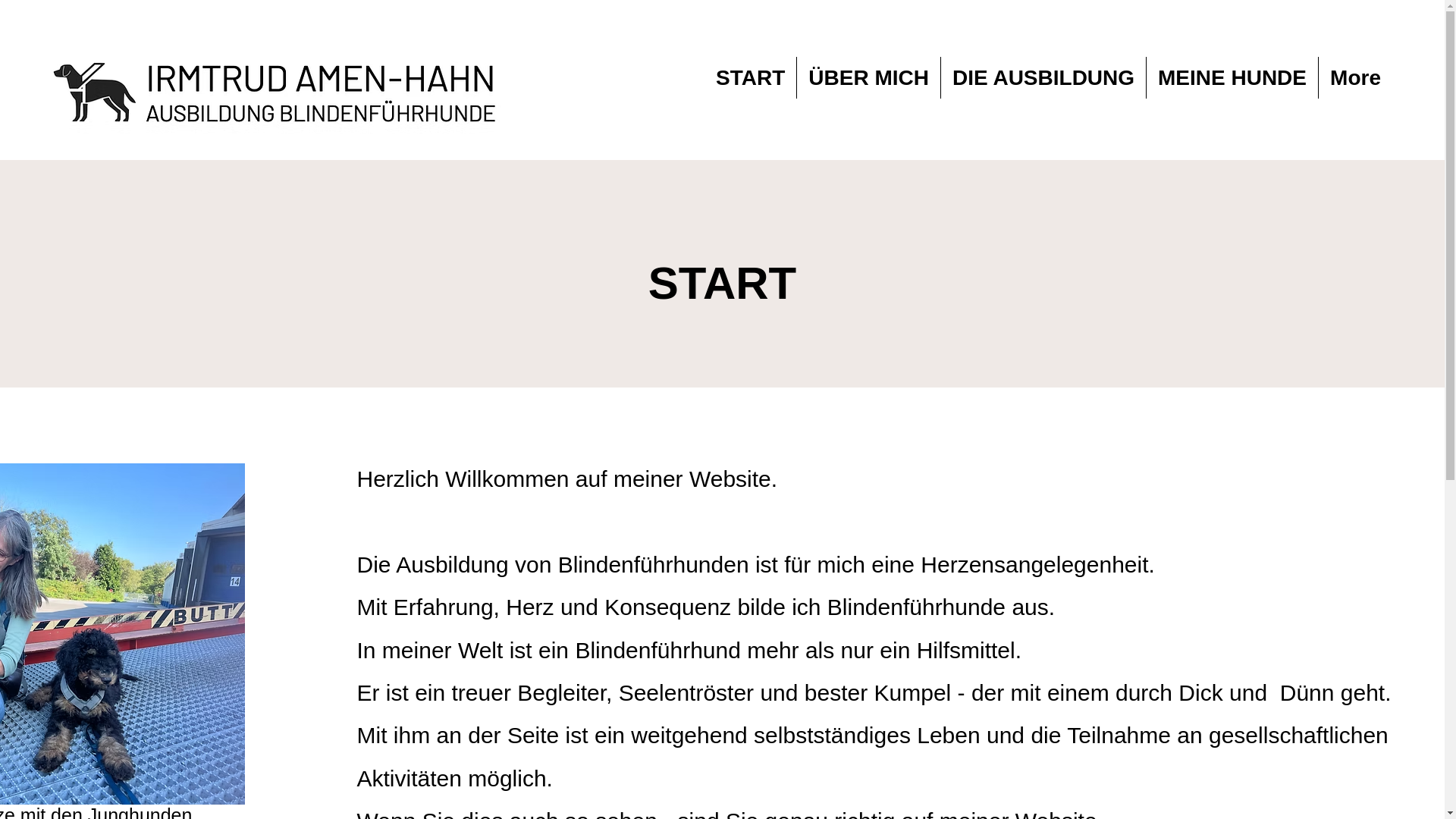 website screenshot of https://blindenhelferinnen.de/